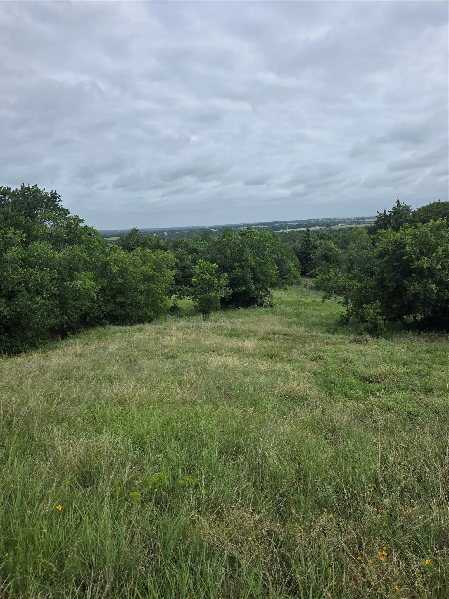 Unimproved Land For Sale in Wise County , TBD Derting Road, Aurora, Texas 76078, 0, 0, Garage spaces, 0 Sqft, built in 0, Price $250,000, mls#21338190, Real Estate Agent in Aurora, Homes For Sale in Wise county, Homes For Sale in Aurora, Realtor in Aurora Texas, Real Estate Brokerage Independent Realty Texas, Luminita Cordes Realtor