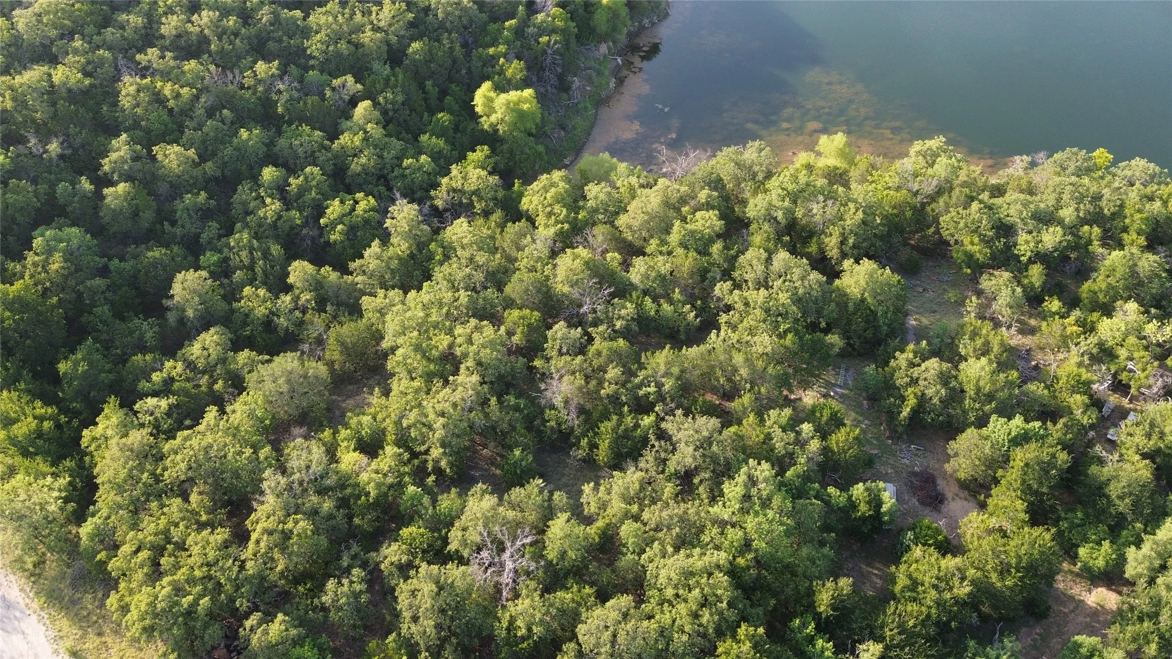 Natural landscape featuring abundant tree coverage and waterfront access