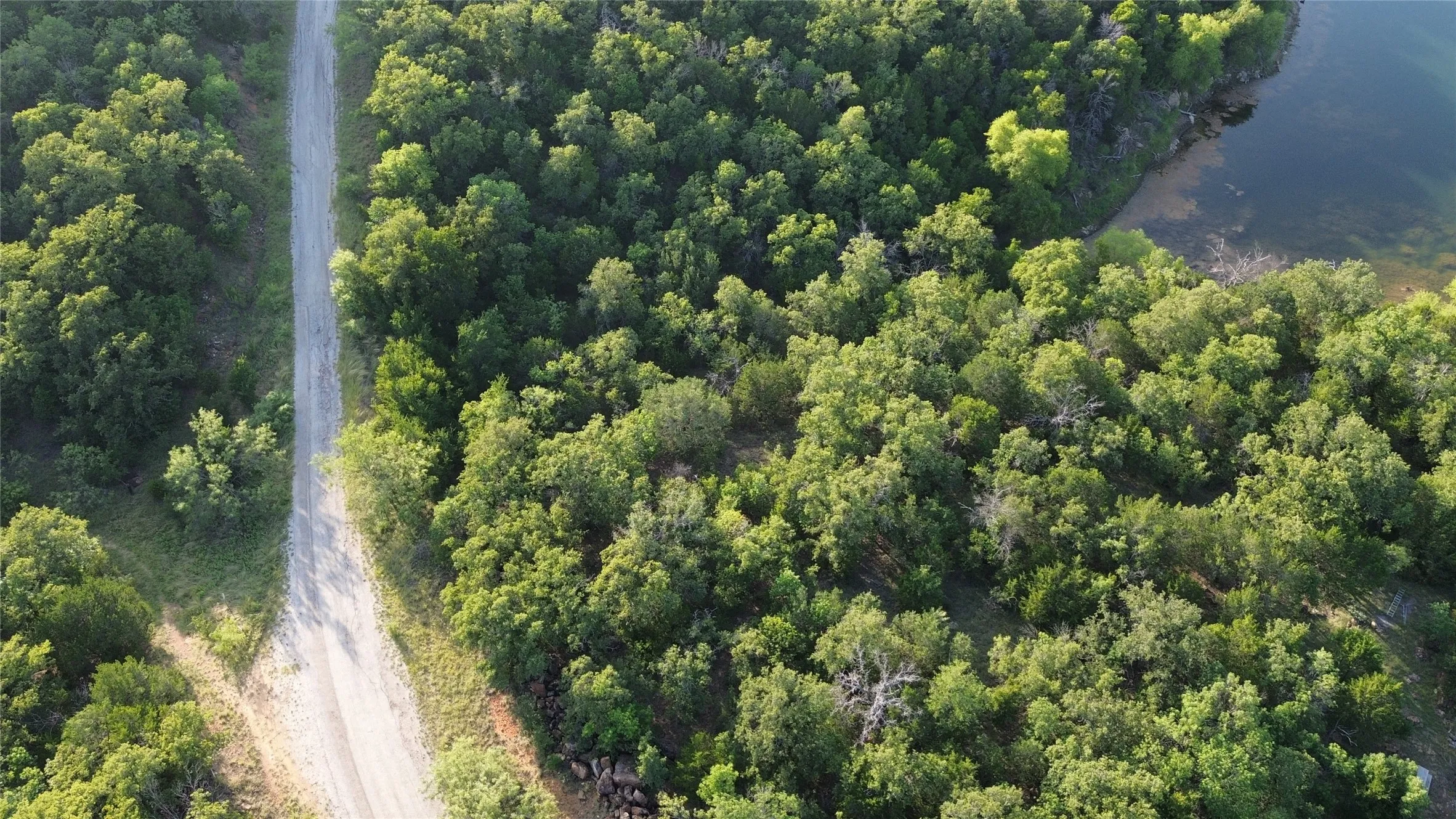 Aerial perspective showcasing a natural landscape with dense tree coverage, a visible water body, and an unpaved road