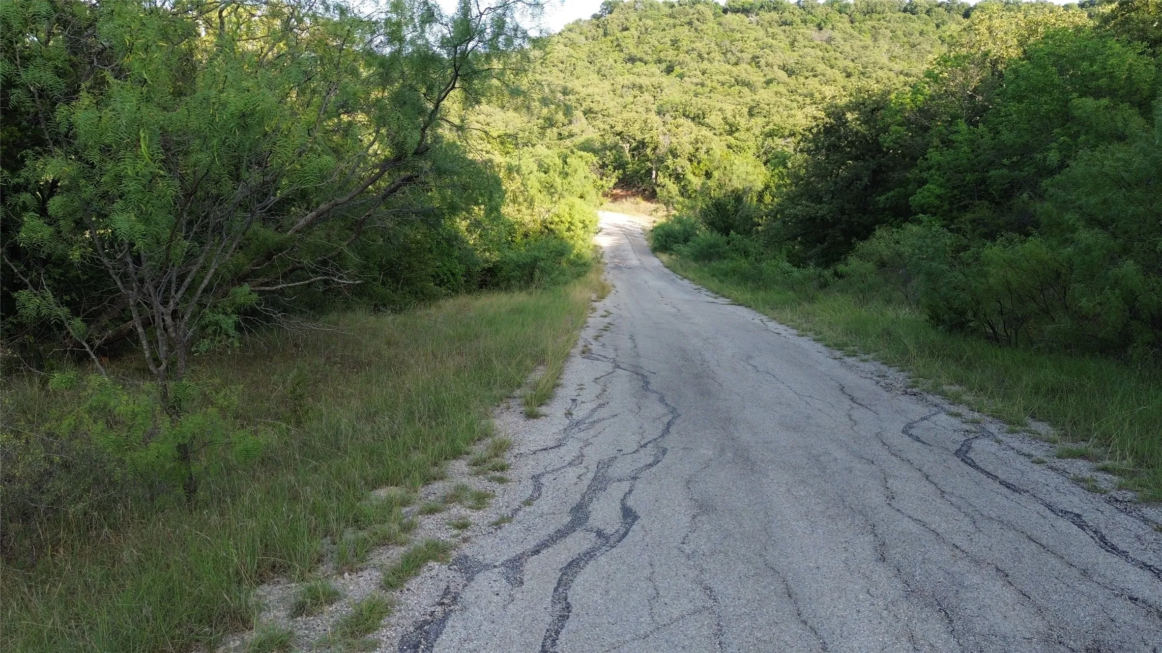 Paved road leading into a densely wooded area with mature trees and natural vegetation