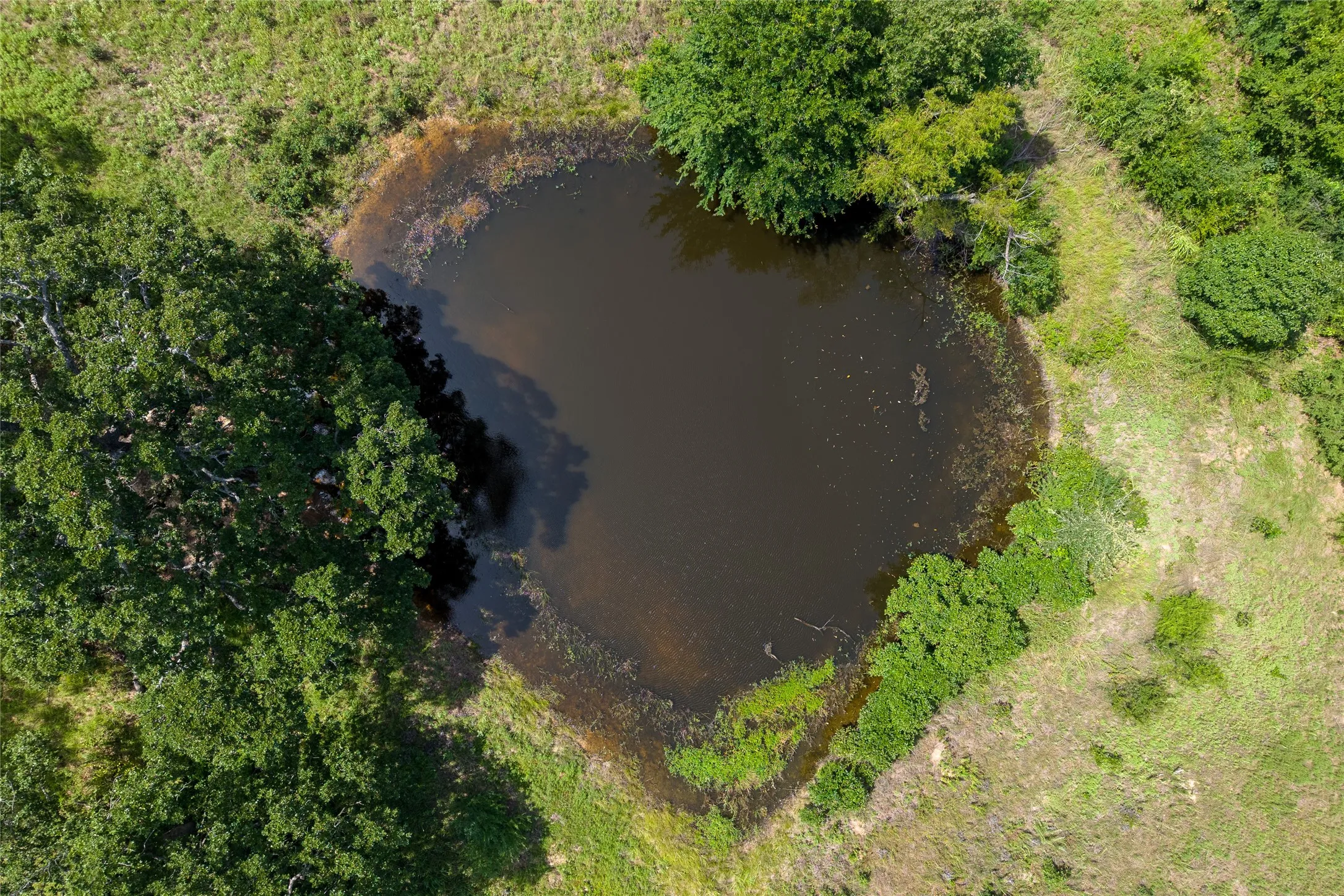 Property pond near front left corner