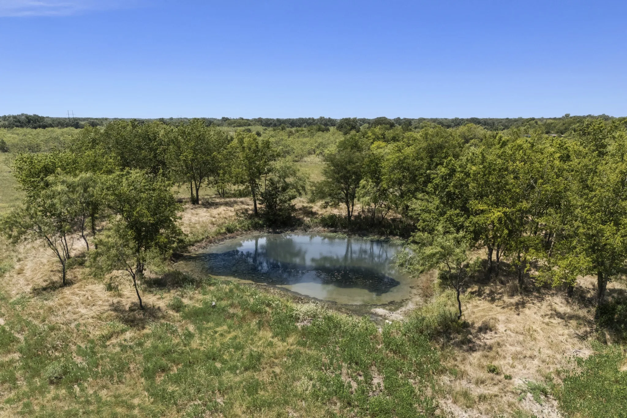 Unimproved Land For Sale in Kaufman County , TBD County Rd 301, Terrell, Texas 75160, 0, 0, Garage spaces, 0 Sqft, built in 0, Price $315,000, mls#21336573, Real Estate Agent in Terrell, Homes For Sale in Kaufman county, Homes For Sale in Terrell, Realtor in Terrell Texas, Real Estate Brokerage Independent Realty Texas, Luminita Cordes Realtor