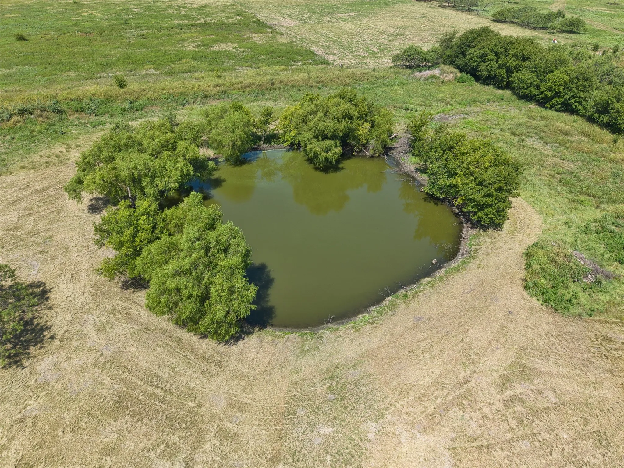Improved Land For Sale in Johnson County , 1521 County Road 1107B, Cleburne, Texas 76031, 0, 0, Garage spaces, 0 Sqft, built in 2025, mls#21339392, Real Estate Agent in Cleburne, Homes For Sale in Johnson county, Homes For Sale in Cleburne, Realtor in Cleburne Texas, Real Estate Brokerage Independent Realty Texas, Luminita Cordes Realtor