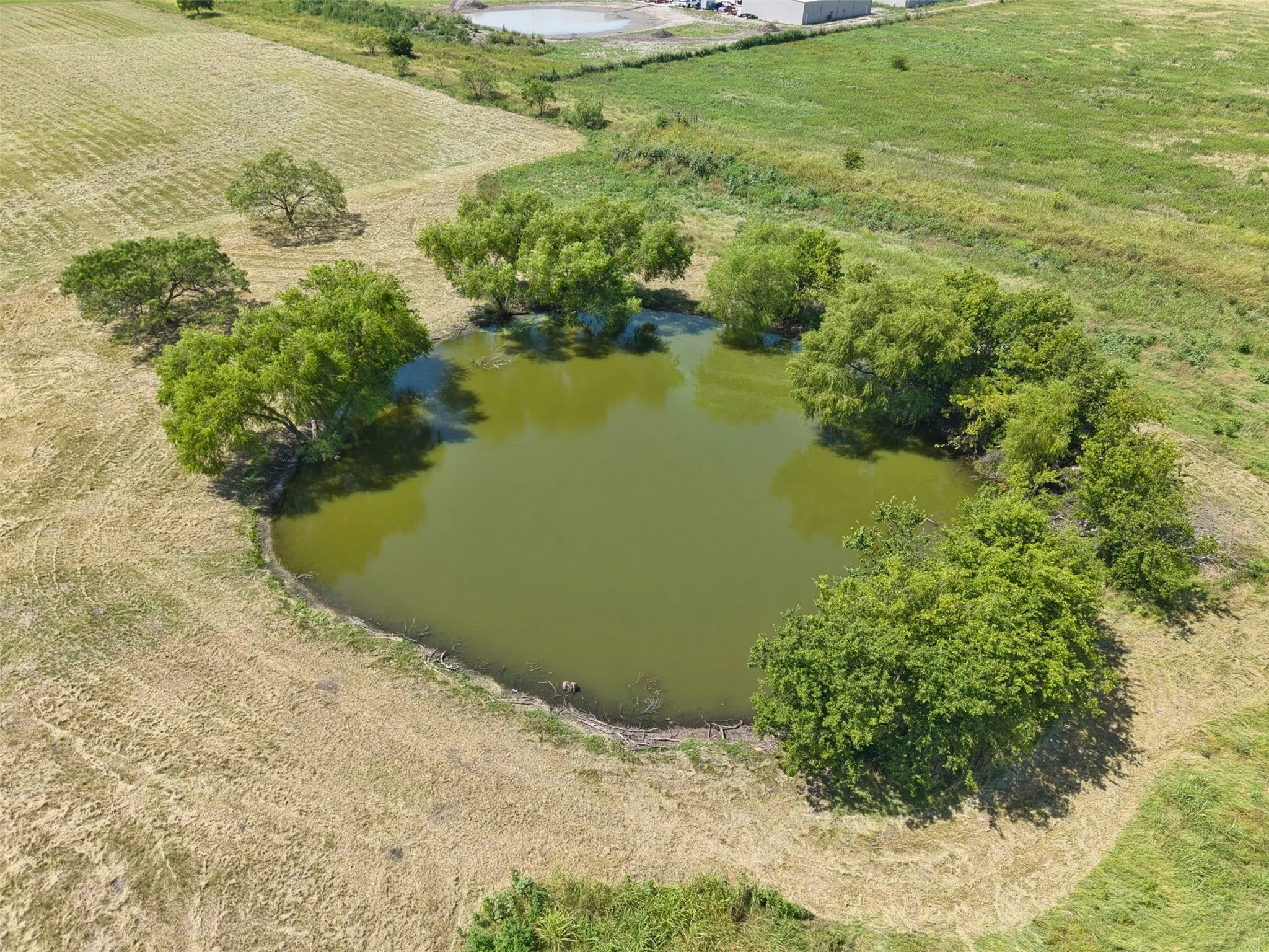 Improved Land For Sale in Johnson County , 1521 County Road 1107B, Cleburne, Texas 76031, 0, 0, Garage spaces, 0 Sqft, built in 2025, mls#21339392, Real Estate Agent in Cleburne, Homes For Sale in Johnson county, Homes For Sale in Cleburne, Realtor in Cleburne Texas, Real Estate Brokerage Independent Realty Texas, Luminita Cordes Realtor