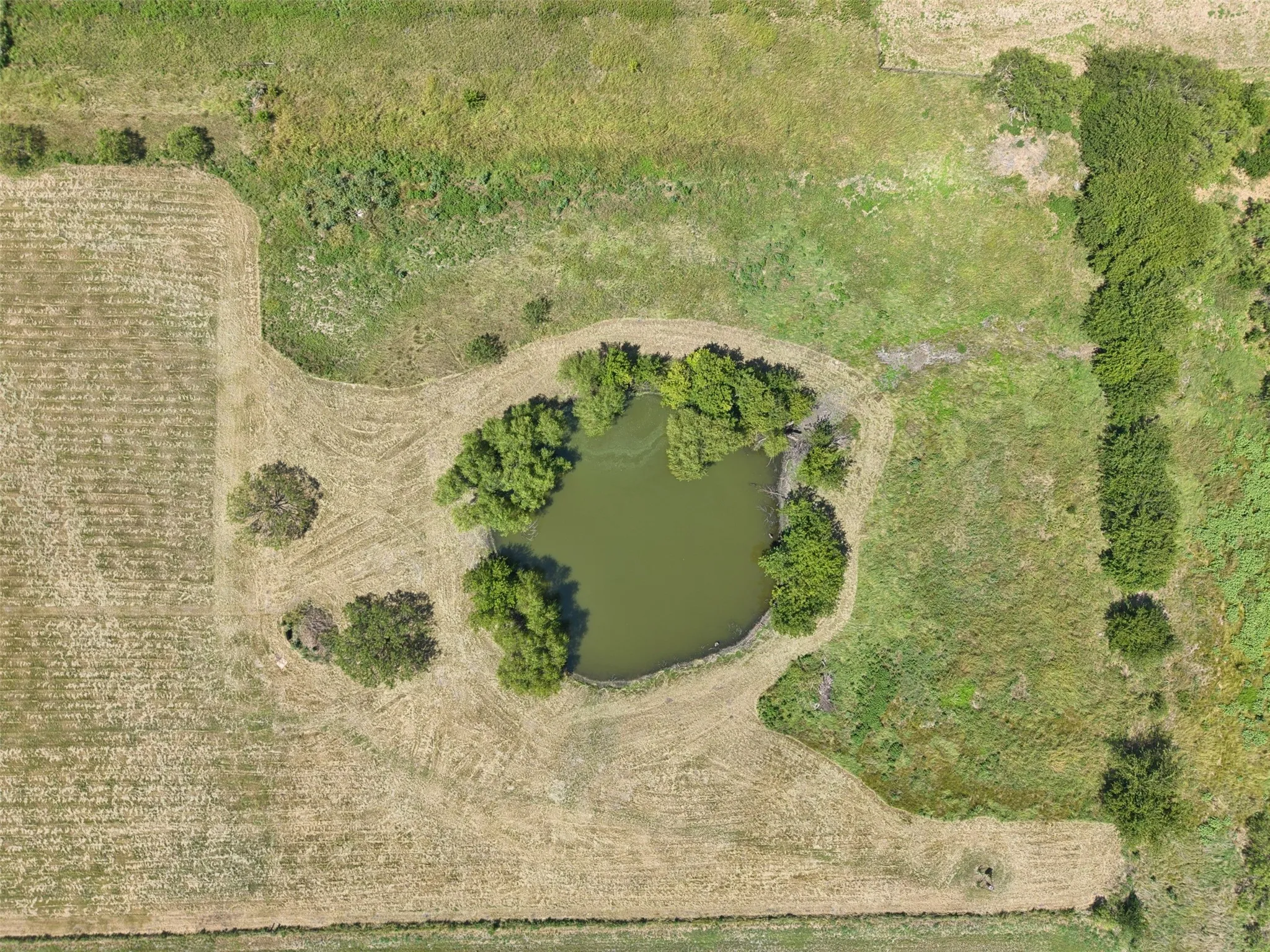 Improved Land For Sale in Johnson County , 1521 County Road 1107B, Cleburne, Texas 76031, 0, 0, Garage spaces, 0 Sqft, built in 2025, mls#21339392, Real Estate Agent in Cleburne, Homes For Sale in Johnson county, Homes For Sale in Cleburne, Realtor in Cleburne Texas, Real Estate Brokerage Independent Realty Texas, Luminita Cordes Realtor