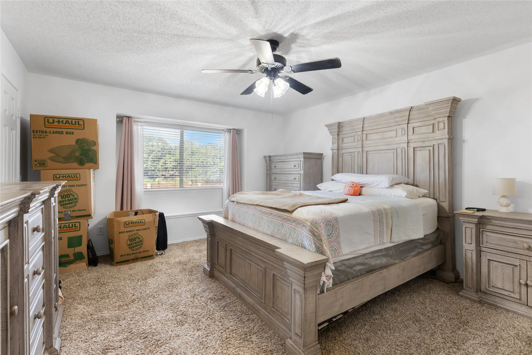 Spacious interior room featuring a large window with horizontal blinds, a ceiling fan with light fixture, and plush carpet flooring