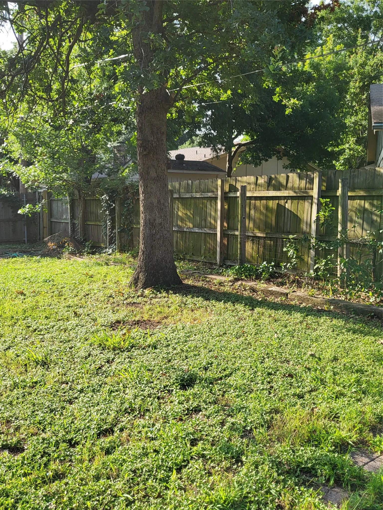 Single Family Residence For Rent in Tarrant County , 4200 Pyracantha Drive, Arlington, Texas 76017, 3 Bedroom, 2 Bathroom, 2 Garage spaces, 2,128 Sqft, built in 1979, mls#21339398, Real Estate Agent in Arlington, Homes For Rent in Tarrant county, Homes For Rent in Arlington, Realtor in Arlington Texas, Real Estate Brokerage Independent Realty Texas, Luminita Cordes Realtor