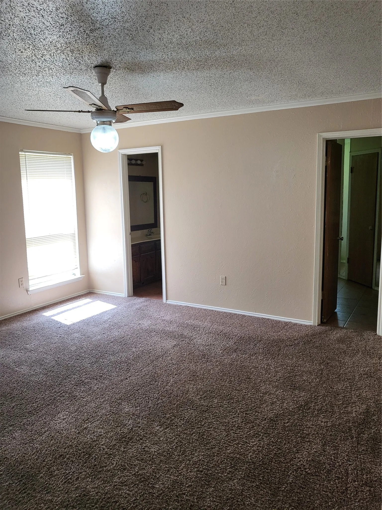 Single Family Residence For Rent in Tarrant County , 4200 Pyracantha Drive, Arlington, Texas 76017, 3 Bedroom, 2 Bathroom, 2 Garage spaces, 2,128 Sqft, built in 1979, mls#21339398, Real Estate Agent in Arlington, Homes For Rent in Tarrant county, Homes For Rent in Arlington, Realtor in Arlington Texas, Real Estate Brokerage Independent Realty Texas, Luminita Cordes Realtor