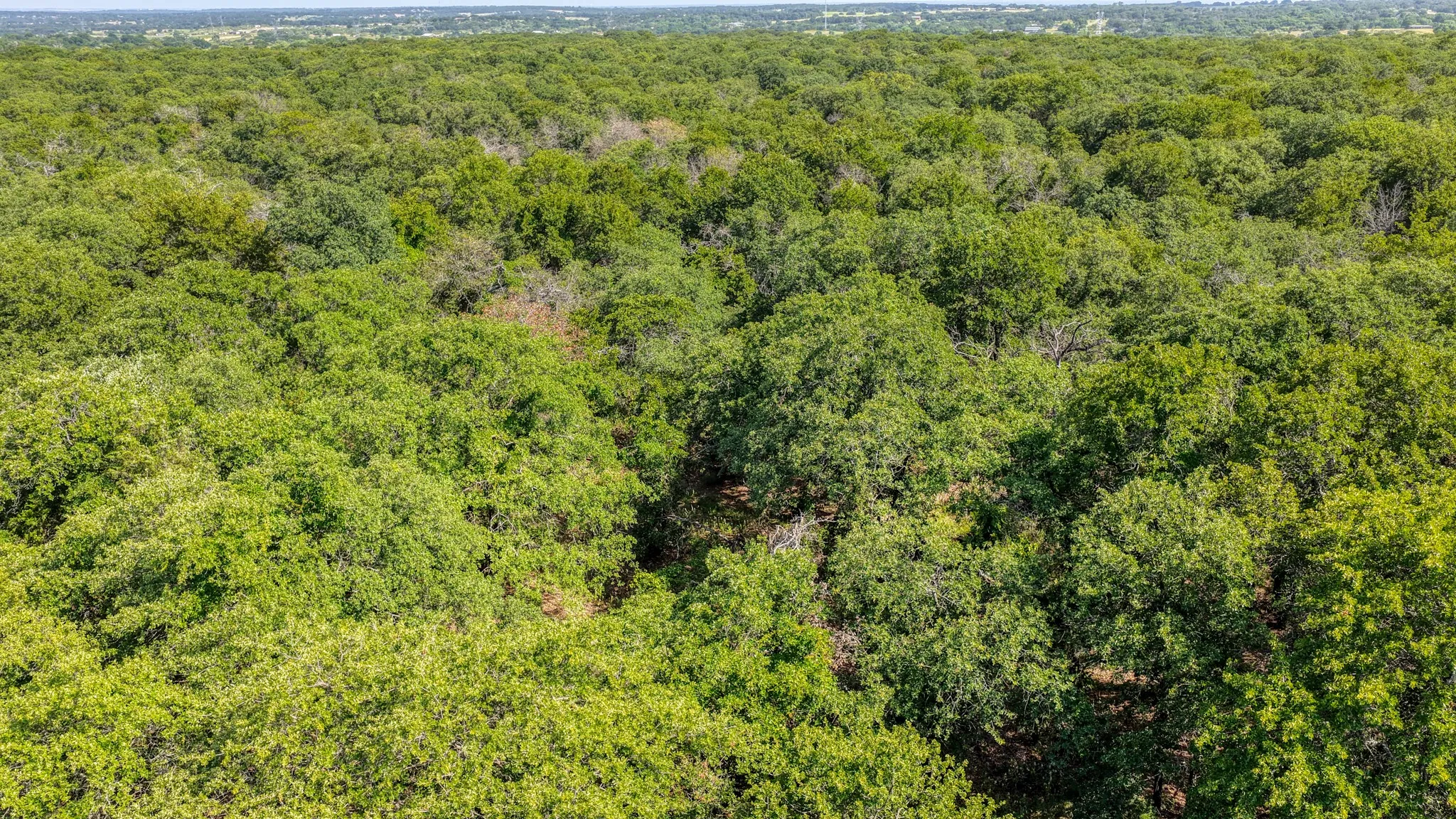 Unimproved Land For Sale in Wise County , TBD 1 Timber Oaks Lane, Boyd, Texas 76023, 0, 0, Garage spaces, 0 Sqft, built in 0, mls#21339385, Real Estate Agent in Boyd, Homes For Sale in Wise county, Homes For Sale in Boyd, Realtor in Boyd Texas, Real Estate Brokerage Independent Realty Texas, Luminita Cordes Realtor
