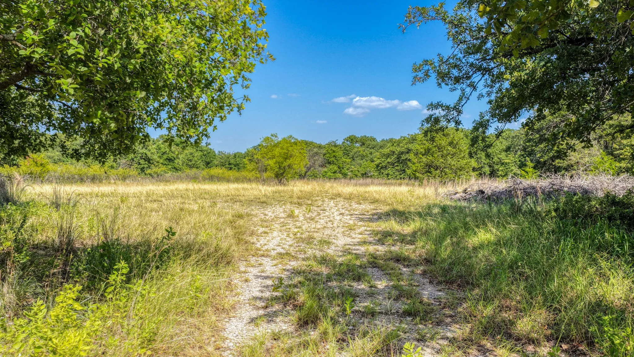 Unimproved Land For Sale in Wise County , TBD 1 Timber Oaks Lane, Boyd, Texas 76023, 0, 0, Garage spaces, 0 Sqft, built in 0, mls#21339385, Real Estate Agent in Boyd, Homes For Sale in Wise county, Homes For Sale in Boyd, Realtor in Boyd Texas, Real Estate Brokerage Independent Realty Texas, Luminita Cordes Realtor