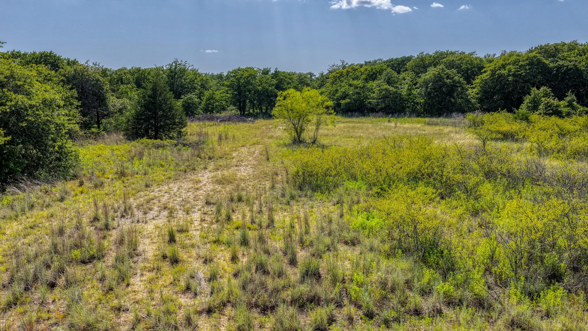 Unimproved Land For Sale in Wise County , TBD 1 Timber Oaks Lane, Boyd, Texas 76023, 0, 0, Garage spaces, 0 Sqft, built in 0, mls#21339385, Real Estate Agent in Boyd, Homes For Sale in Wise county, Homes For Sale in Boyd, Realtor in Boyd Texas, Real Estate Brokerage Independent Realty Texas, Luminita Cordes Realtor