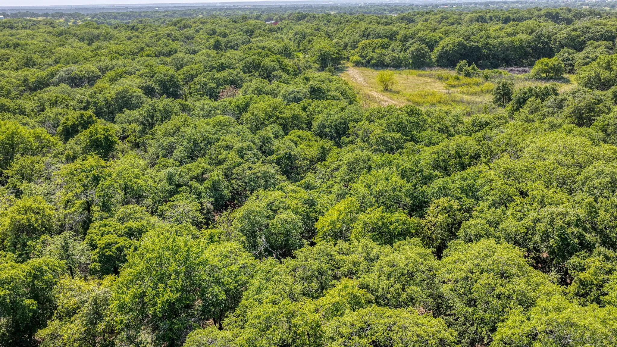 Unimproved Land For Sale in Wise County , TBD 1 Timber Oaks Lane, Boyd, Texas 76023, 0, 0, Garage spaces, 0 Sqft, built in 0, mls#21339385, Real Estate Agent in Boyd, Homes For Sale in Wise county, Homes For Sale in Boyd, Realtor in Boyd Texas, Real Estate Brokerage Independent Realty Texas, Luminita Cordes Realtor