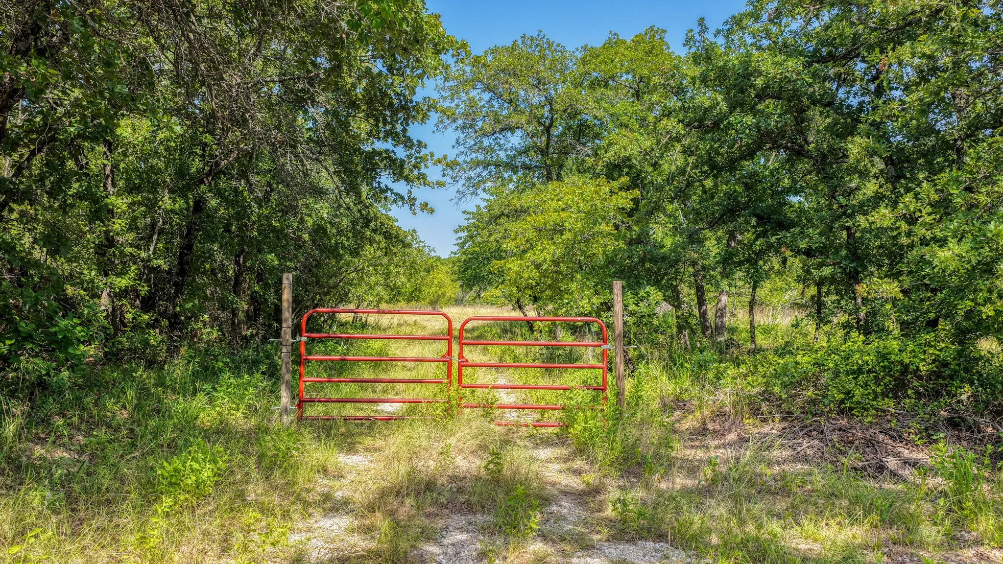 Unimproved Land For Sale in Wise County , TBD 1 Timber Oaks Lane, Boyd, Texas 76023, 0, 0, Garage spaces, 0 Sqft, built in 0, mls#21339385, Real Estate Agent in Boyd, Homes For Sale in Wise county, Homes For Sale in Boyd, Realtor in Boyd Texas, Real Estate Brokerage Independent Realty Texas, Luminita Cordes Realtor