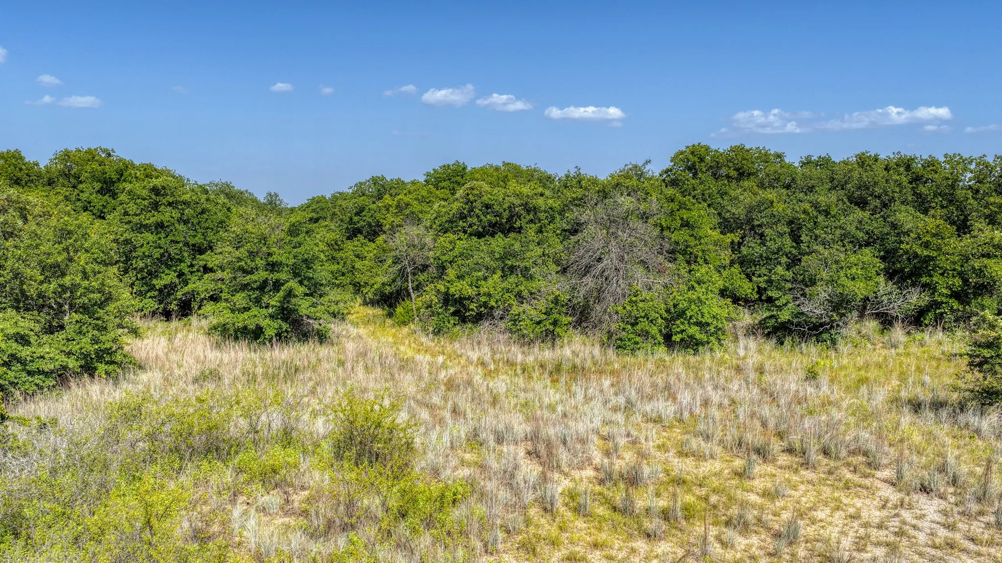 Unimproved Land For Sale in Wise County , TBD 1 Timber Oaks Lane, Boyd, Texas 76023, 0, 0, Garage spaces, 0 Sqft, built in 0, mls#21339385, Real Estate Agent in Boyd, Homes For Sale in Wise county, Homes For Sale in Boyd, Realtor in Boyd Texas, Real Estate Brokerage Independent Realty Texas, Luminita Cordes Realtor