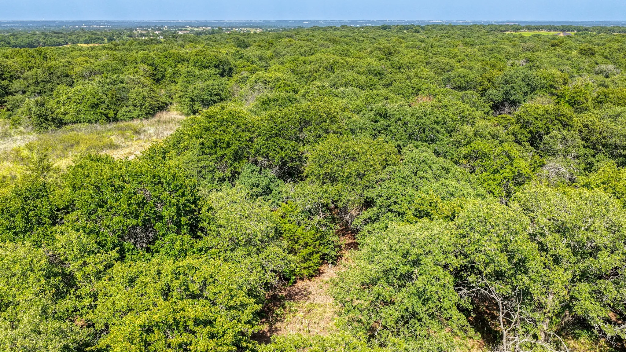 Unimproved Land For Sale in Wise County , TBD 1 Timber Oaks Lane, Boyd, Texas 76023, 0, 0, Garage spaces, 0 Sqft, built in 0, mls#21339385, Real Estate Agent in Boyd, Homes For Sale in Wise county, Homes For Sale in Boyd, Realtor in Boyd Texas, Real Estate Brokerage Independent Realty Texas, Luminita Cordes Realtor