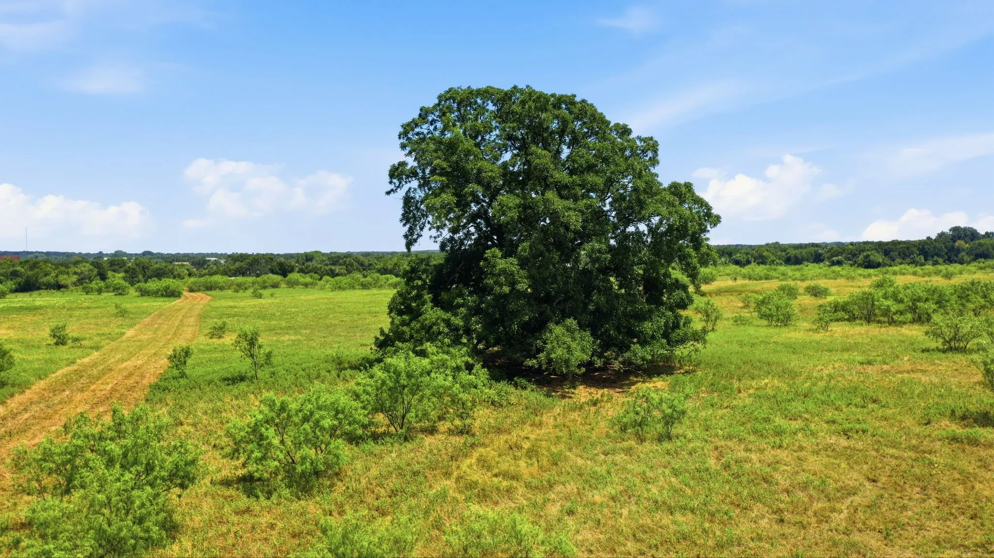 Ranch For Sale in Jack County , TBD E Fm 2210 E, Poolville, Texas 76487, 0, 0, Garage spaces, 0 Sqft, built in 0, Price $298,000, mls#21338500, Real Estate Agent in Poolville, Homes For Sale in Jack county, Homes For Sale in Poolville, Realtor in Poolville Texas, Real Estate Brokerage Independent Realty Texas, Luminita Cordes Realtor