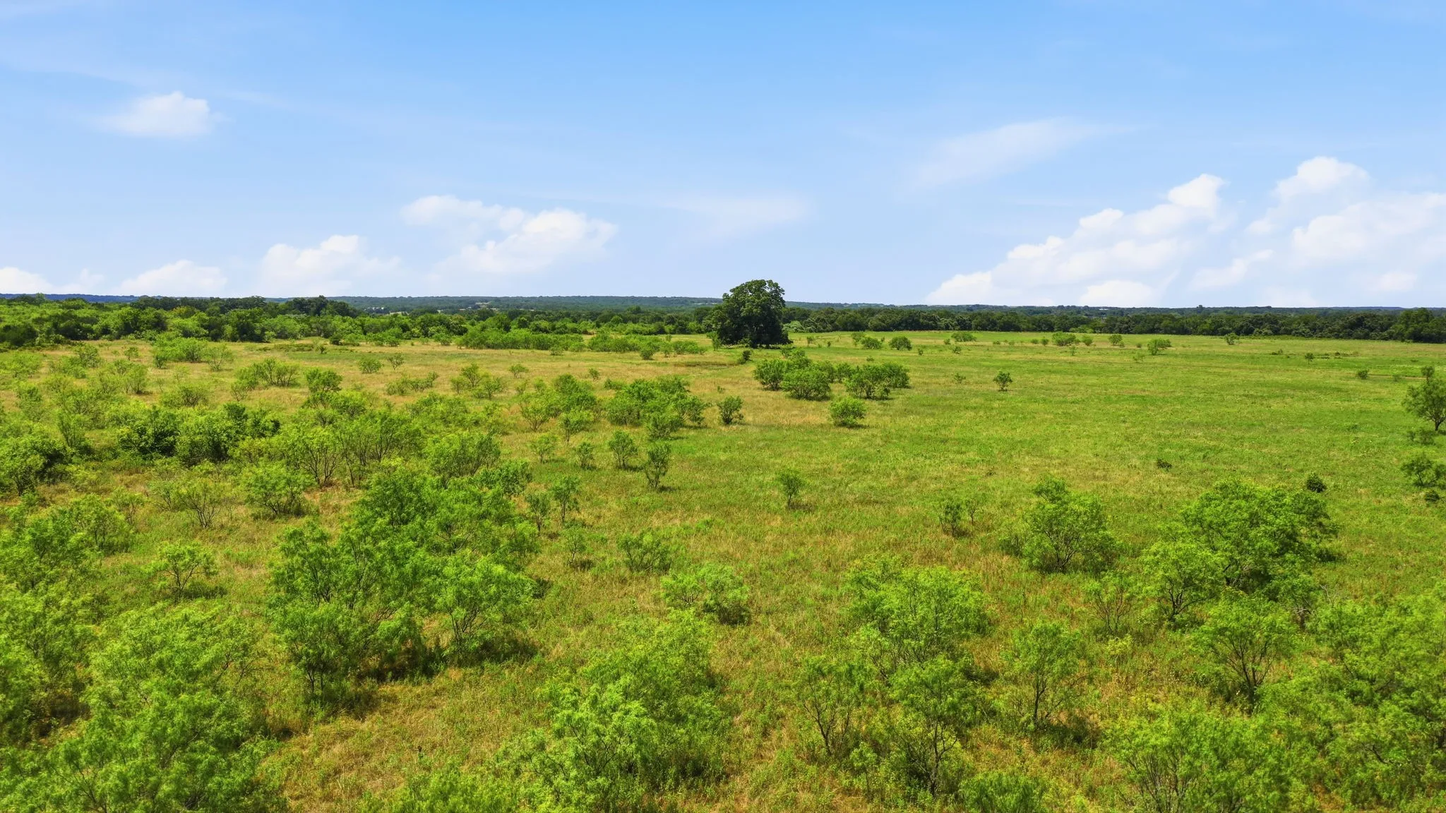 Ranch For Sale in Jack County , TBD E Fm 2210 E, Poolville, Texas 76487, 0, 0, Garage spaces, 0 Sqft, built in 0, Price $298,000, mls#21338500, Real Estate Agent in Poolville, Homes For Sale in Jack county, Homes For Sale in Poolville, Realtor in Poolville Texas, Real Estate Brokerage Independent Realty Texas, Luminita Cordes Realtor