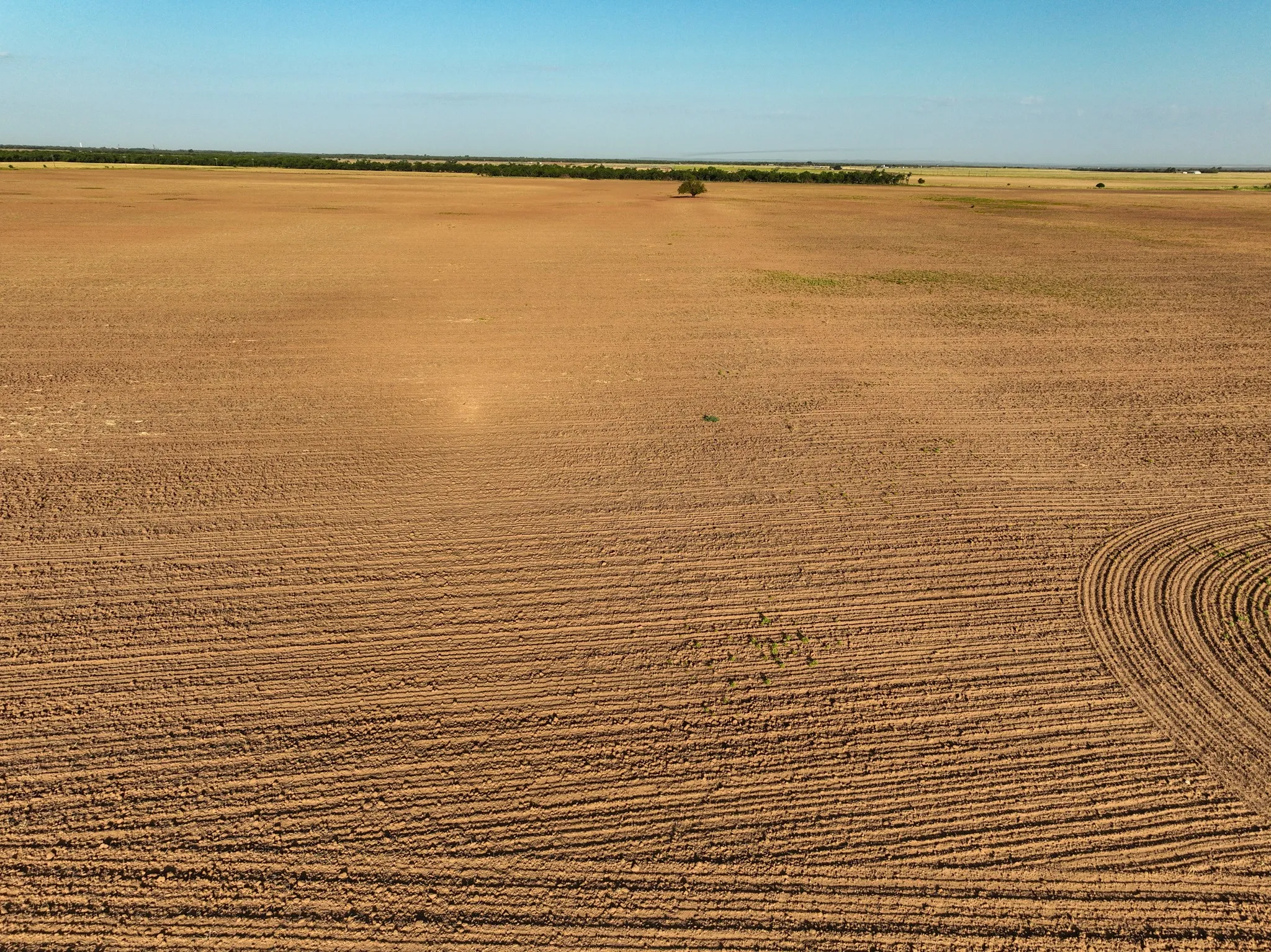 Unimproved Land For Sale in Knox County , 80 4220 County Road, Knox City, Texas 79529, 0, 0, Garage spaces, 0 Sqft, built in 0, Price $156,000, mls#21339434, Real Estate Agent in Knox City, Homes For Sale in Knox county, Homes For Sale in Knox City, Realtor in Knox City Texas, Real Estate Brokerage Independent Realty Texas, Luminita Cordes Realtor