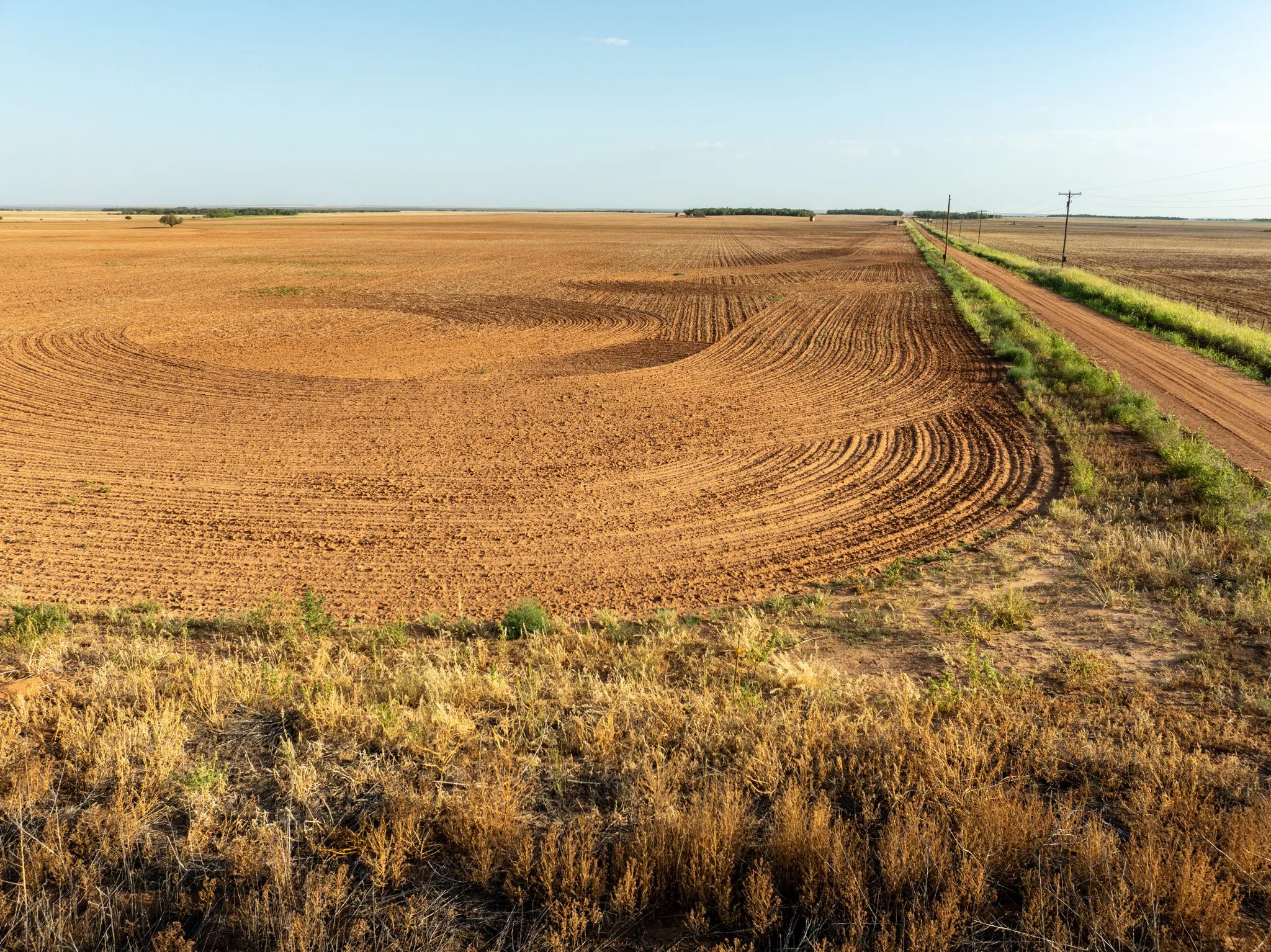 Unimproved Land For Sale in Knox County , 80 4220 County Road, Knox City, Texas 79529, 0, 0, Garage spaces, 0 Sqft, built in 0, Price $156,000, mls#21339434, Real Estate Agent in Knox City, Homes For Sale in Knox county, Homes For Sale in Knox City, Realtor in Knox City Texas, Real Estate Brokerage Independent Realty Texas, Luminita Cordes Realtor