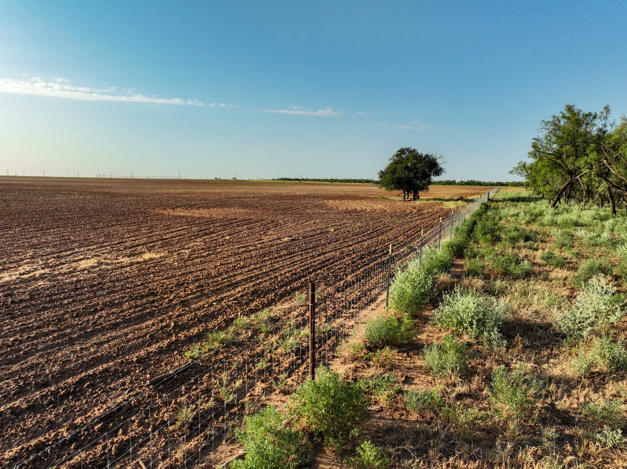 Unimproved Land For Sale in Knox County , 80 4220 County Road, Knox City, Texas 79529, 0, 0, Garage spaces, 0 Sqft, built in 0, Price $156,000, mls#21339434, Real Estate Agent in Knox City, Homes For Sale in Knox county, Homes For Sale in Knox City, Realtor in Knox City Texas, Real Estate Brokerage Independent Realty Texas, Luminita Cordes Realtor