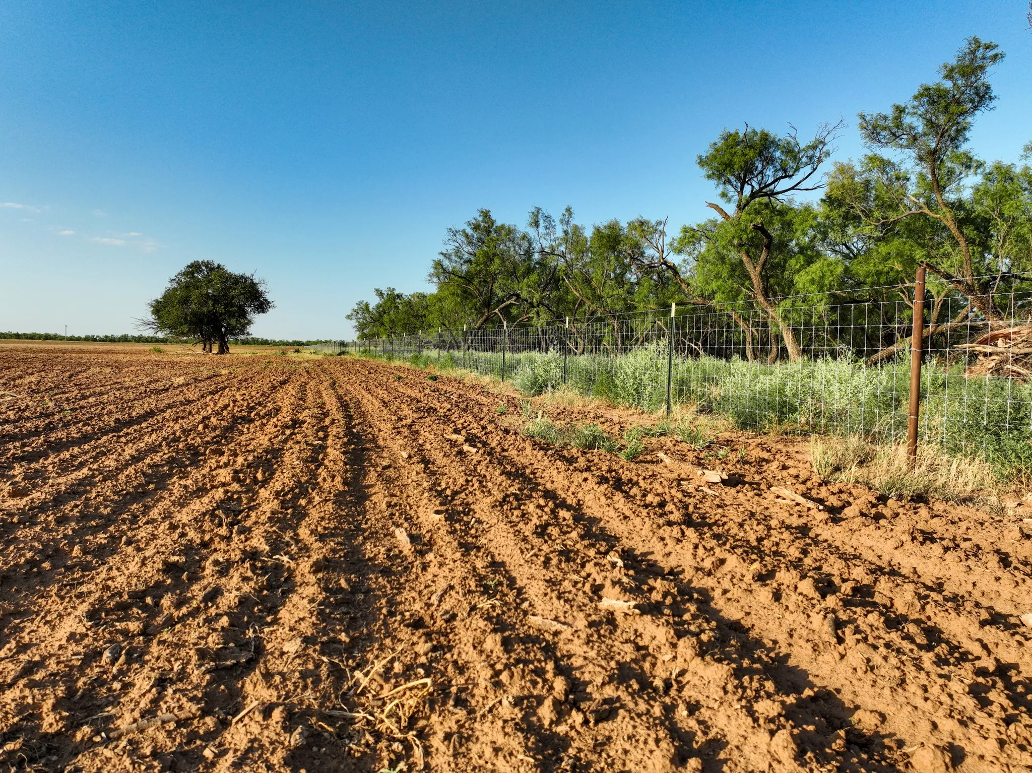 Unimproved Land For Sale in Knox County , 80 4220 County Road, Knox City, Texas 79529, 0, 0, Garage spaces, 0 Sqft, built in 0, Price $156,000, mls#21339434, Real Estate Agent in Knox City, Homes For Sale in Knox county, Homes For Sale in Knox City, Realtor in Knox City Texas, Real Estate Brokerage Independent Realty Texas, Luminita Cordes Realtor