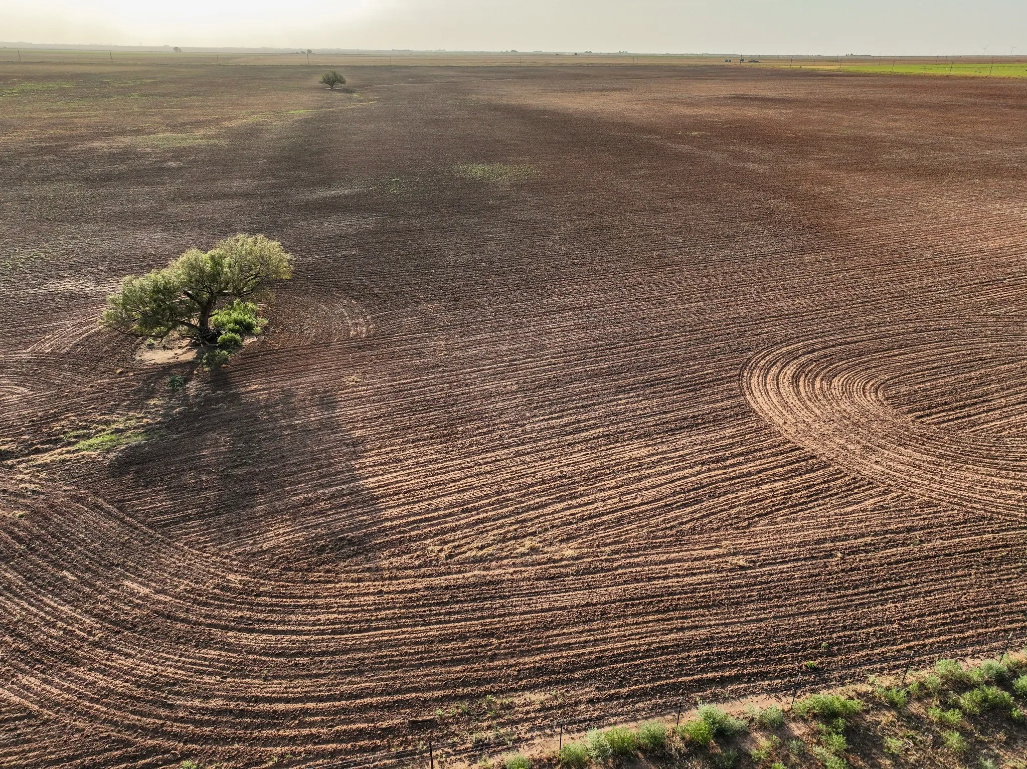 Unimproved Land For Sale in Knox County , 80 4220 County Road, Knox City, Texas 79529, 0, 0, Garage spaces, 0 Sqft, built in 0, Price $156,000, mls#21339434, Real Estate Agent in Knox City, Homes For Sale in Knox county, Homes For Sale in Knox City, Realtor in Knox City Texas, Real Estate Brokerage Independent Realty Texas, Luminita Cordes Realtor