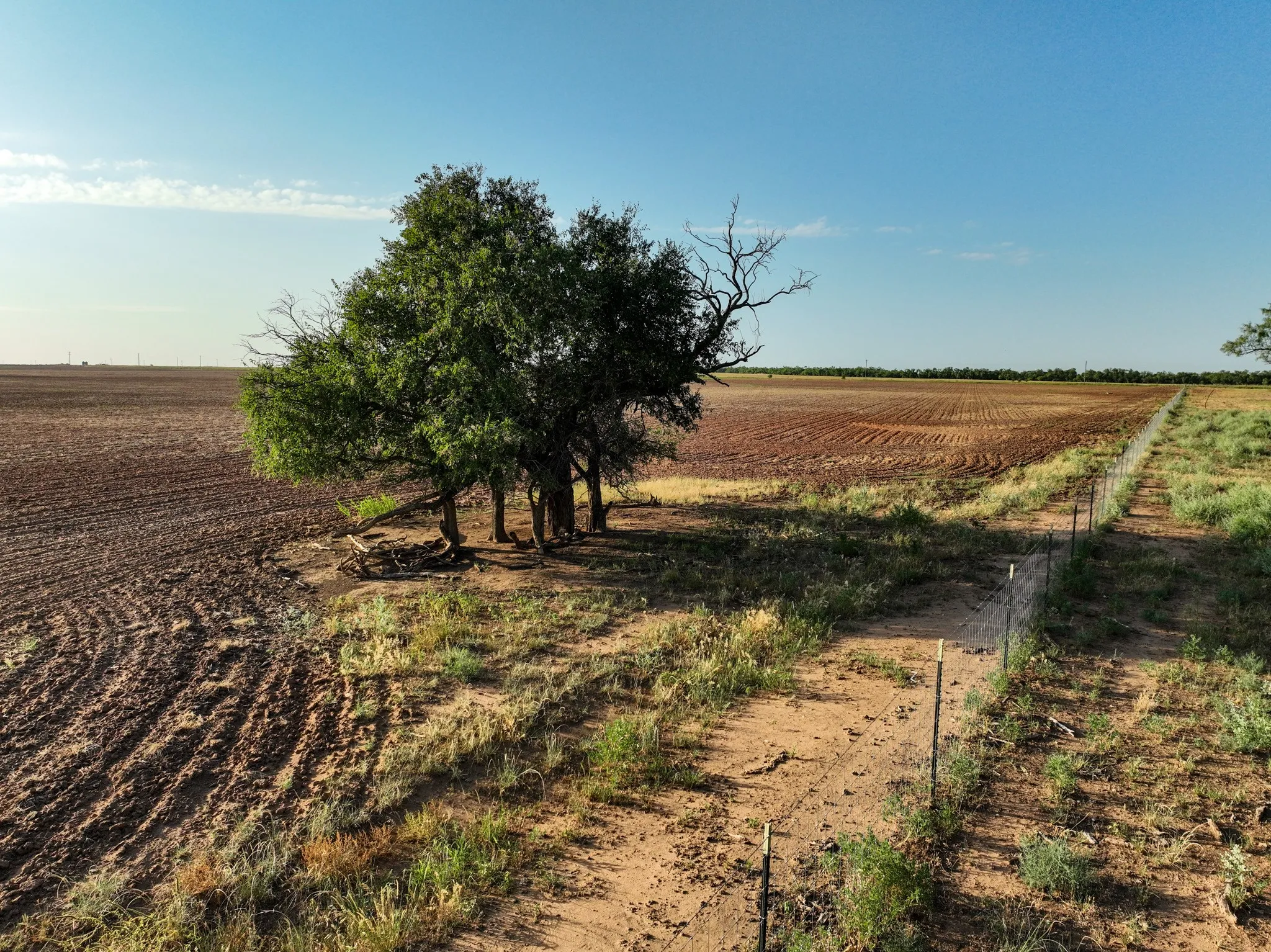 Unimproved Land For Sale in Knox County , 80 4220 County Road, Knox City, Texas 79529, 0, 0, Garage spaces, 0 Sqft, built in 0, Price $156,000, mls#21339434, Real Estate Agent in Knox City, Homes For Sale in Knox county, Homes For Sale in Knox City, Realtor in Knox City Texas, Real Estate Brokerage Independent Realty Texas, Luminita Cordes Realtor