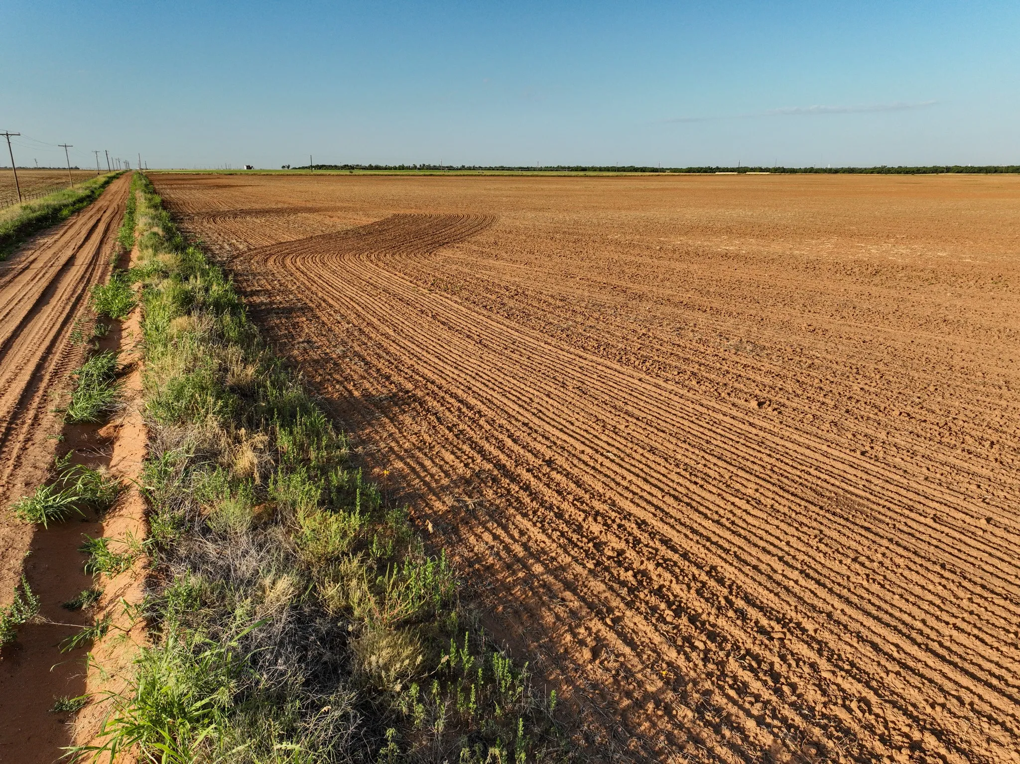 Unimproved Land For Sale in Knox County , 80 4220 County Road, Knox City, Texas 79529, 0, 0, Garage spaces, 0 Sqft, built in 0, Price $156,000, mls#21339434, Real Estate Agent in Knox City, Homes For Sale in Knox county, Homes For Sale in Knox City, Realtor in Knox City Texas, Real Estate Brokerage Independent Realty Texas, Luminita Cordes Realtor