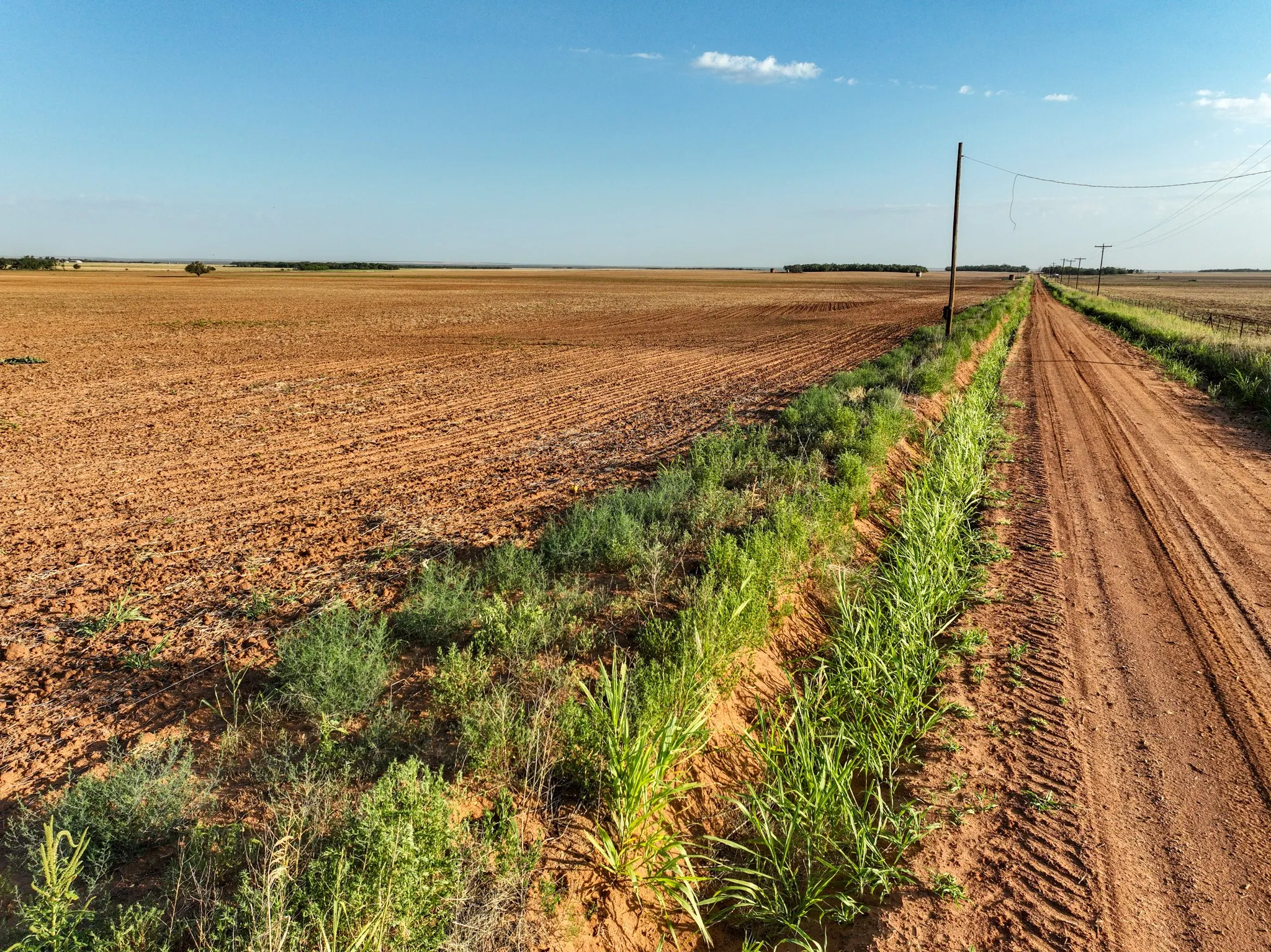 Unimproved Land For Sale in Knox County , 80 4220 County Road, Knox City, Texas 79529, 0, 0, Garage spaces, 0 Sqft, built in 0, Price $156,000, mls#21339434, Real Estate Agent in Knox City, Homes For Sale in Knox county, Homes For Sale in Knox City, Realtor in Knox City Texas, Real Estate Brokerage Independent Realty Texas, Luminita Cordes Realtor