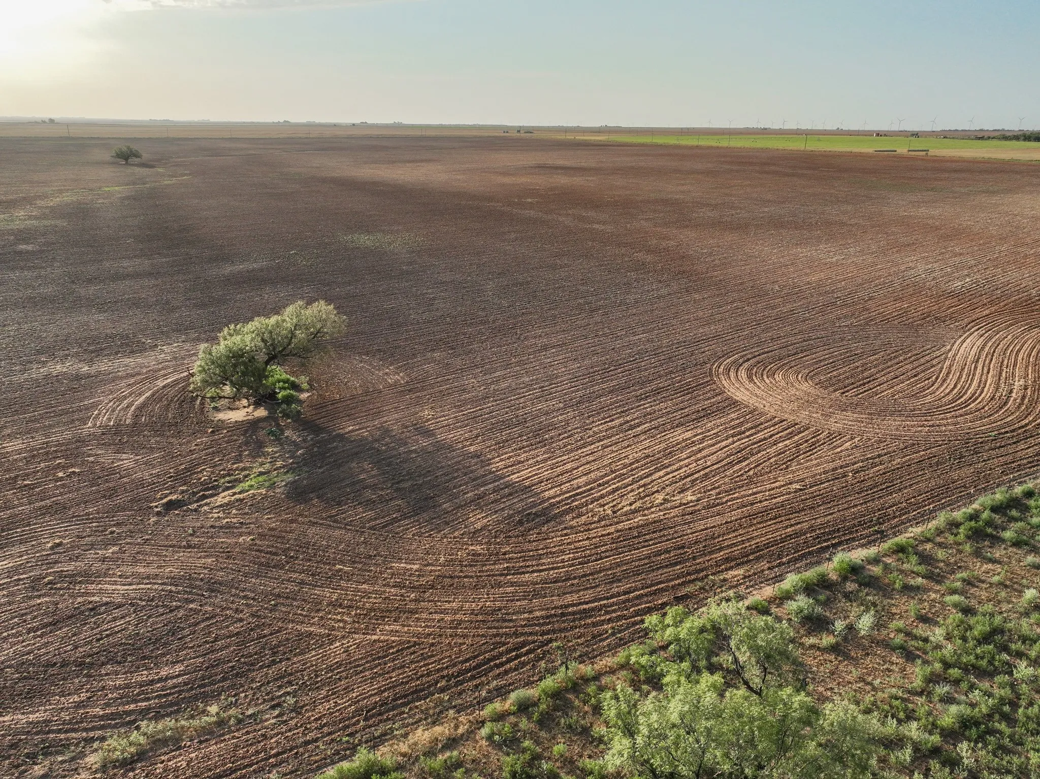 Unimproved Land For Sale in Knox County , 80 4220 County Road, Knox City, Texas 79529, 0, 0, Garage spaces, 0 Sqft, built in 0, Price $156,000, mls#21339434, Real Estate Agent in Knox City, Homes For Sale in Knox county, Homes For Sale in Knox City, Realtor in Knox City Texas, Real Estate Brokerage Independent Realty Texas, Luminita Cordes Realtor