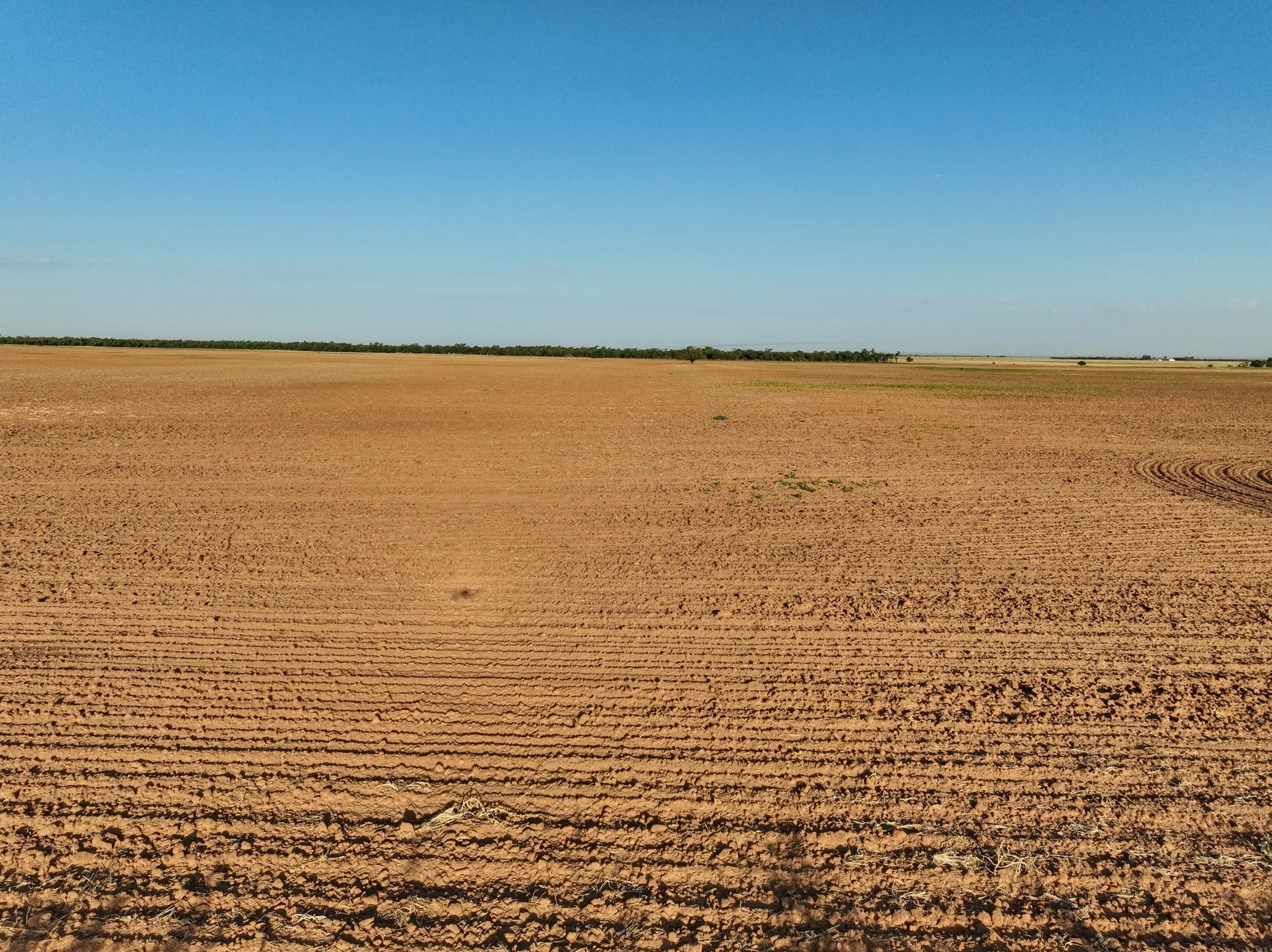 Unimproved Land For Sale in Knox County , 80 4220 County Road, Knox City, Texas 79529, 0, 0, Garage spaces, 0 Sqft, built in 0, Price $156,000, mls#21339434, Real Estate Agent in Knox City, Homes For Sale in Knox county, Homes For Sale in Knox City, Realtor in Knox City Texas, Real Estate Brokerage Independent Realty Texas, Luminita Cordes Realtor