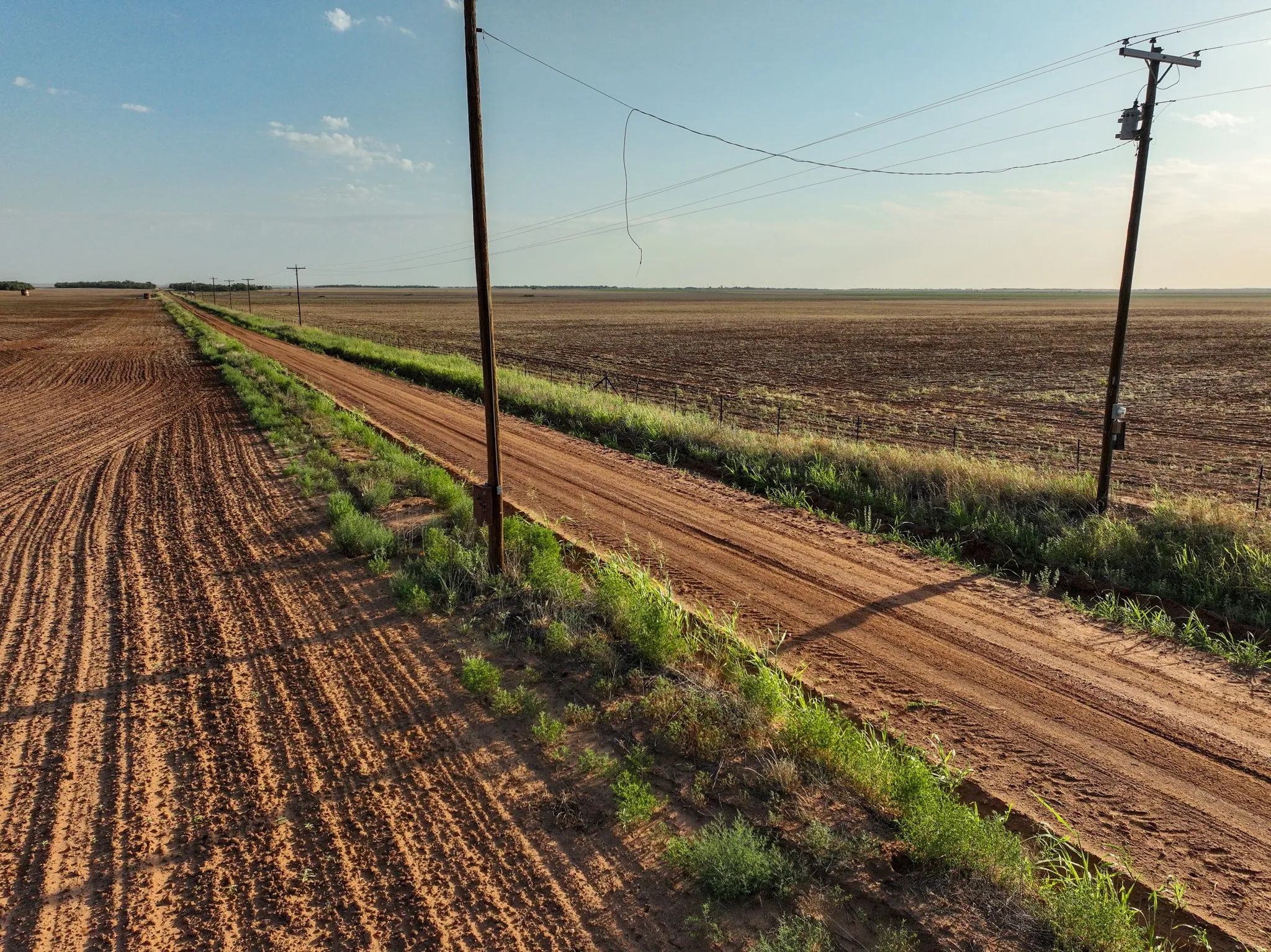 Unimproved Land For Sale in Knox County , 80 4220 County Road, Knox City, Texas 79529, 0, 0, Garage spaces, 0 Sqft, built in 0, Price $156,000, mls#21339434, Real Estate Agent in Knox City, Homes For Sale in Knox county, Homes For Sale in Knox City, Realtor in Knox City Texas, Real Estate Brokerage Independent Realty Texas, Luminita Cordes Realtor