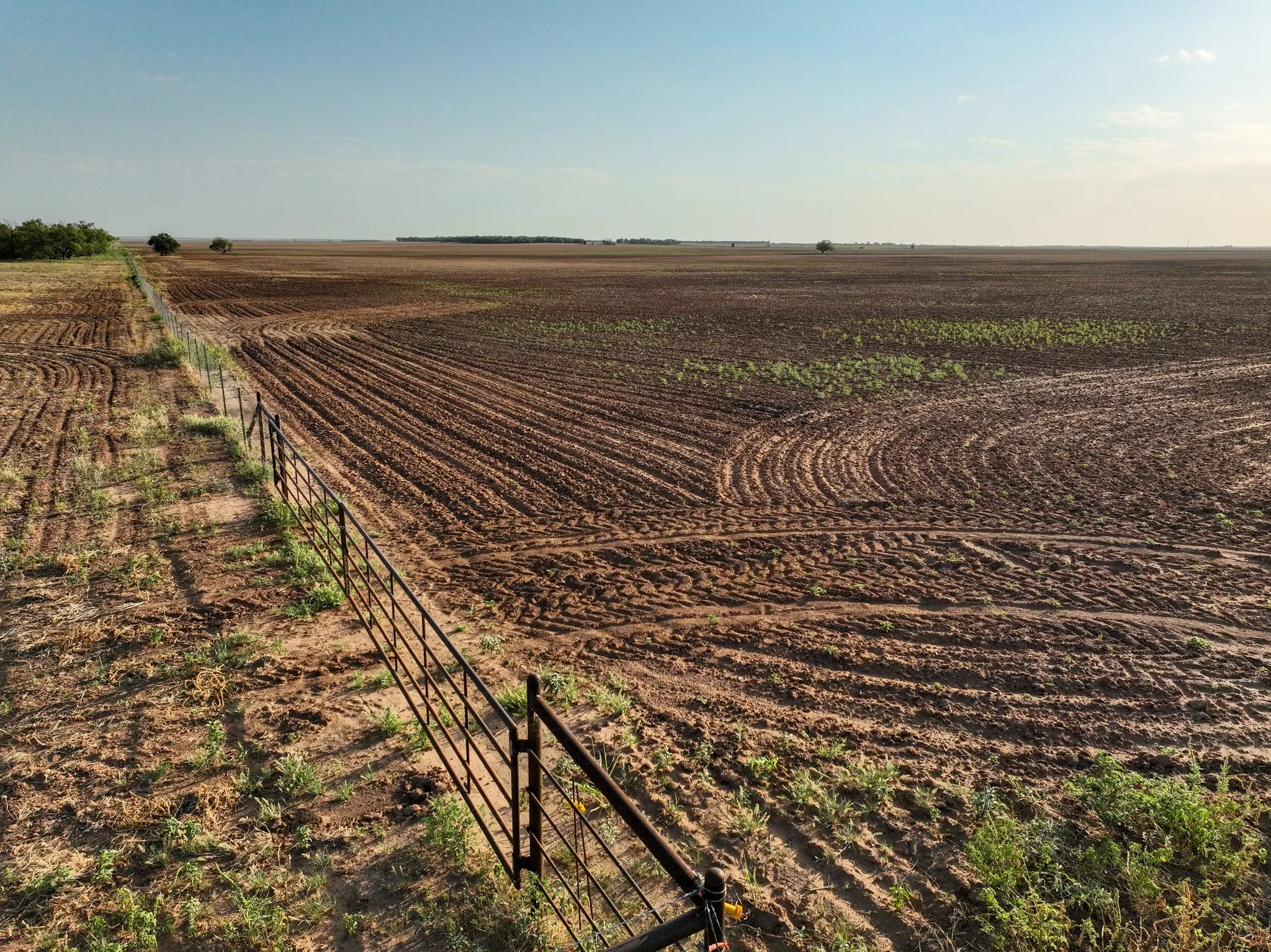 Unimproved Land For Sale in Knox County , 80 4220 County Road, Knox City, Texas 79529, 0, 0, Garage spaces, 0 Sqft, built in 0, Price $156,000, mls#21339434, Real Estate Agent in Knox City, Homes For Sale in Knox county, Homes For Sale in Knox City, Realtor in Knox City Texas, Real Estate Brokerage Independent Realty Texas, Luminita Cordes Realtor