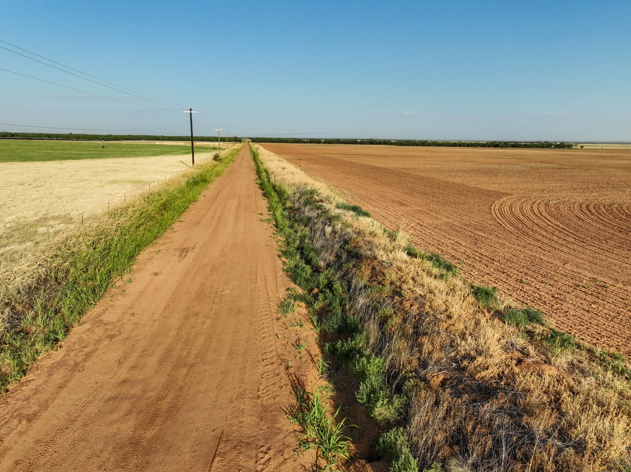 Unimproved Land For Sale in Knox County , 80 4220 County Road, Knox City, Texas 79529, 0, 0, Garage spaces, 0 Sqft, built in 0, Price $156,000, mls#21339434, Real Estate Agent in Knox City, Homes For Sale in Knox county, Homes For Sale in Knox City, Realtor in Knox City Texas, Real Estate Brokerage Independent Realty Texas, Luminita Cordes Realtor