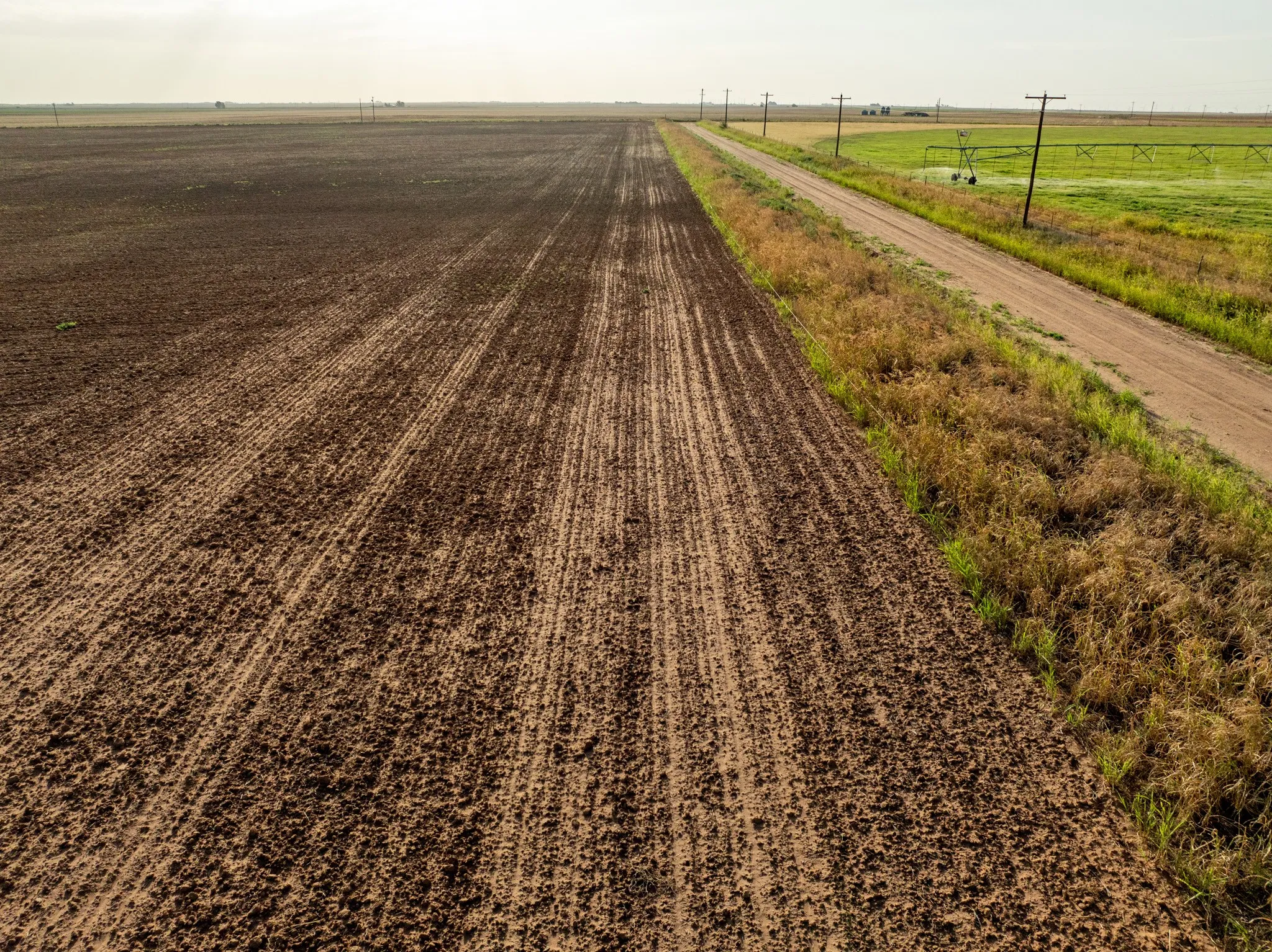 Unimproved Land For Sale in Knox County , 80 4220 County Road, Knox City, Texas 79529, 0, 0, Garage spaces, 0 Sqft, built in 0, Price $156,000, mls#21339434, Real Estate Agent in Knox City, Homes For Sale in Knox county, Homes For Sale in Knox City, Realtor in Knox City Texas, Real Estate Brokerage Independent Realty Texas, Luminita Cordes Realtor