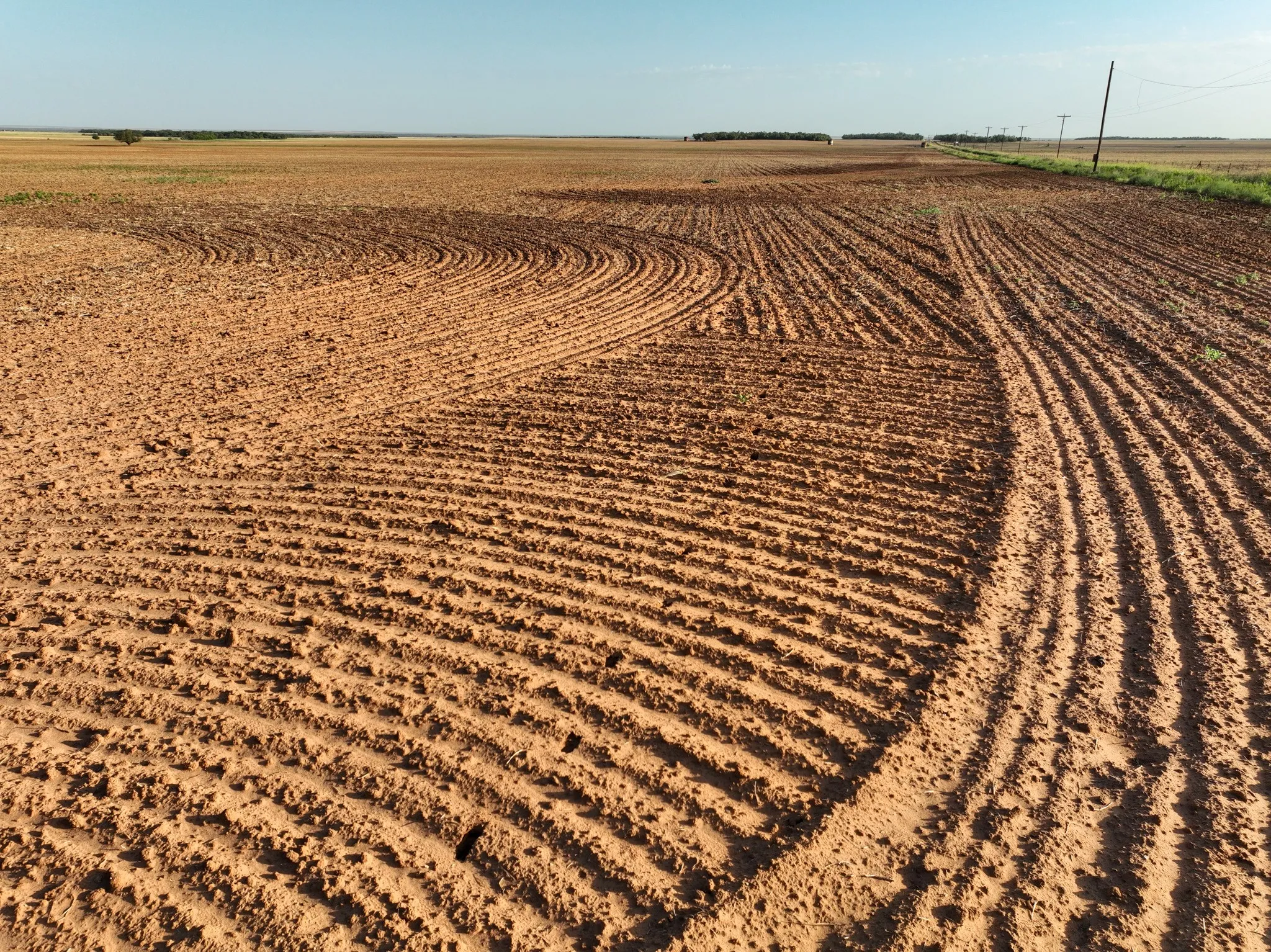 Unimproved Land For Sale in Knox County , 80 4220 County Road, Knox City, Texas 79529, 0, 0, Garage spaces, 0 Sqft, built in 0, Price $156,000, mls#21339434, Real Estate Agent in Knox City, Homes For Sale in Knox county, Homes For Sale in Knox City, Realtor in Knox City Texas, Real Estate Brokerage Independent Realty Texas, Luminita Cordes Realtor