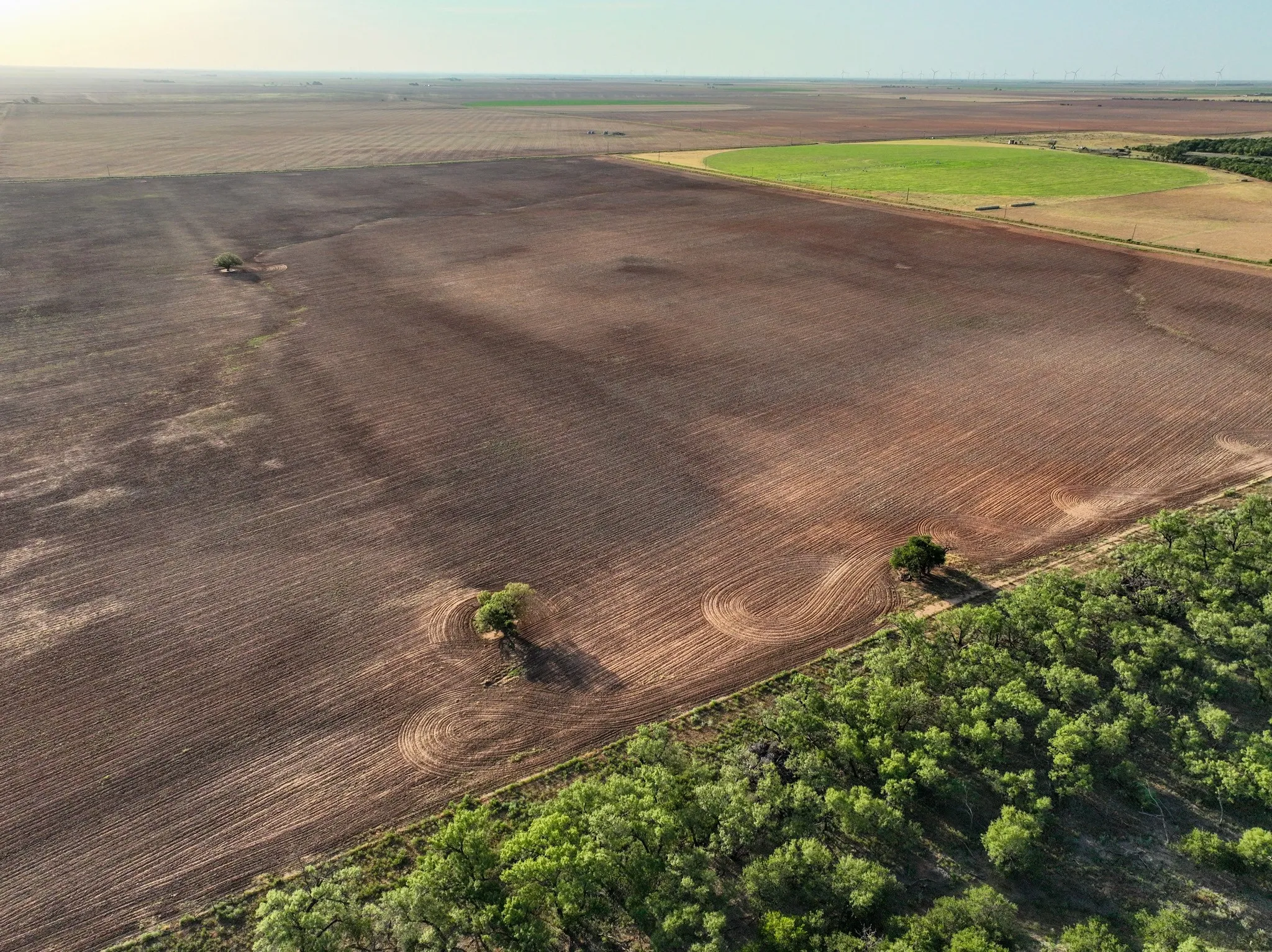 Unimproved Land For Sale in Knox County , 80 4220 County Road, Knox City, Texas 79529, 0, 0, Garage spaces, 0 Sqft, built in 0, Price $156,000, mls#21339434, Real Estate Agent in Knox City, Homes For Sale in Knox county, Homes For Sale in Knox City, Realtor in Knox City Texas, Real Estate Brokerage Independent Realty Texas, Luminita Cordes Realtor