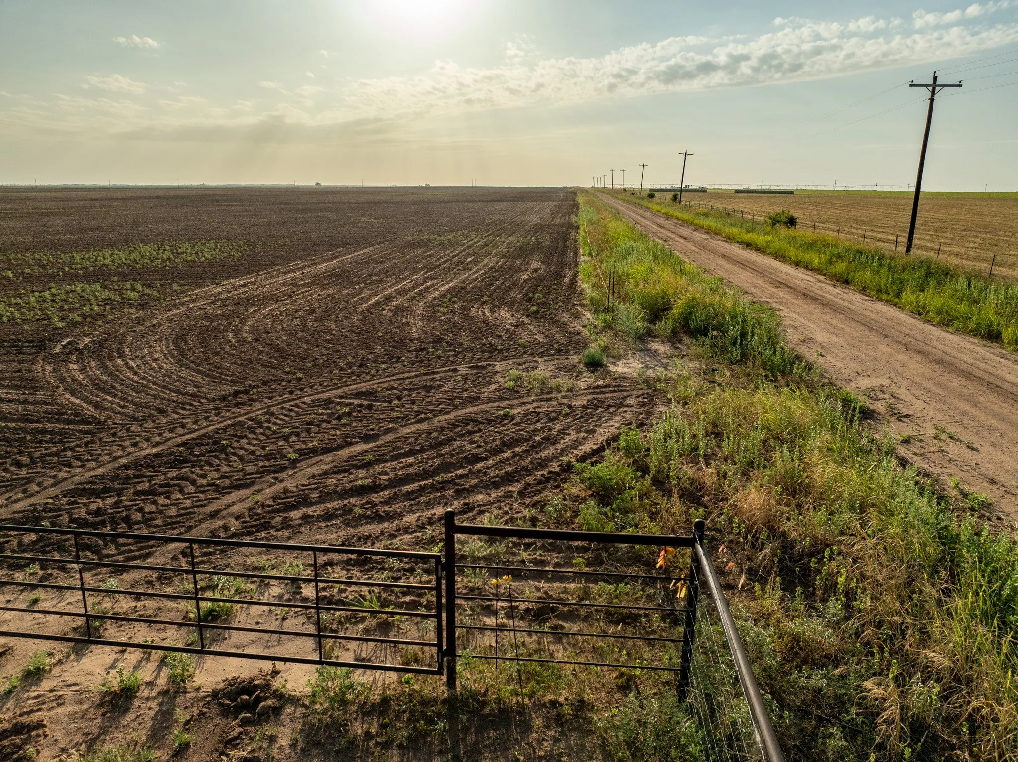 Unimproved Land For Sale in Knox County , 80 4220 County Road, Knox City, Texas 79529, 0, 0, Garage spaces, 0 Sqft, built in 0, Price $156,000, mls#21339434, Real Estate Agent in Knox City, Homes For Sale in Knox county, Homes For Sale in Knox City, Realtor in Knox City Texas, Real Estate Brokerage Independent Realty Texas, Luminita Cordes Realtor