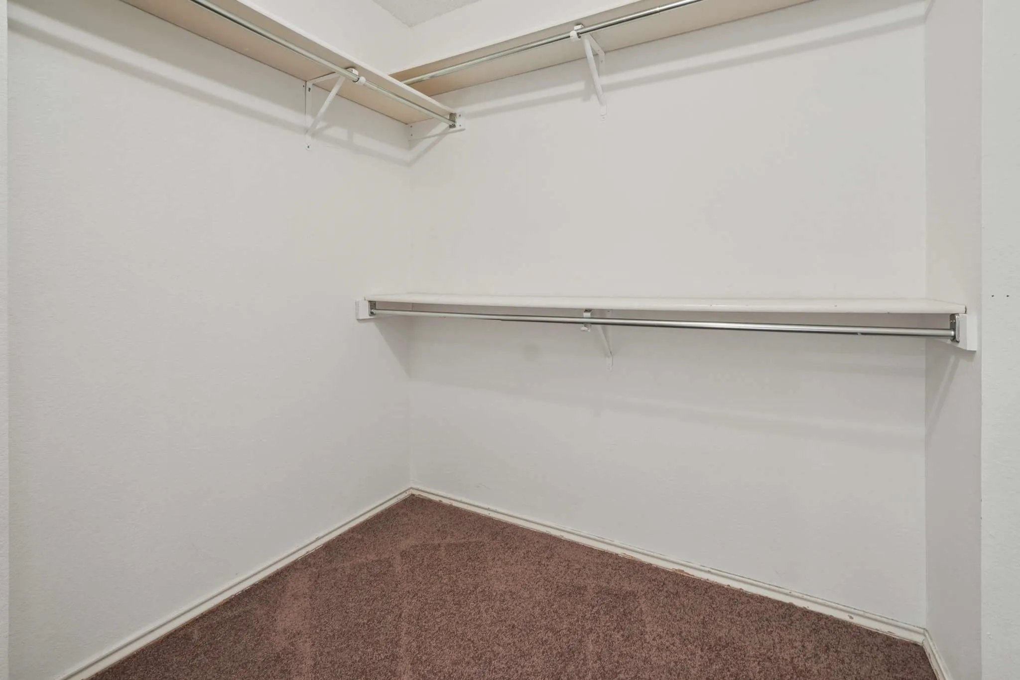 Walk-in closet featuring white painted walls, brown carpet, and multiple shelving and hanging rod configurations