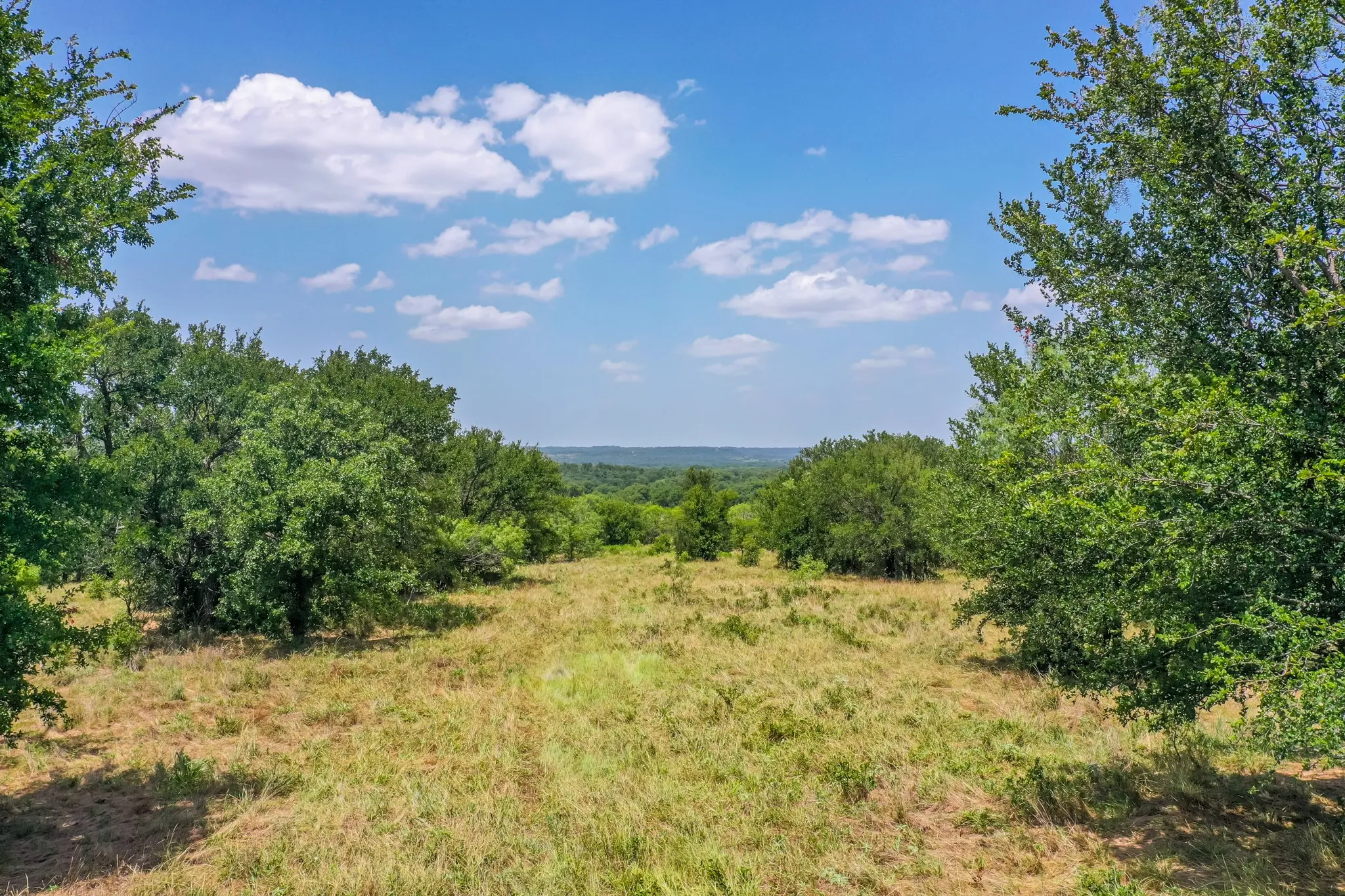 Farm For Sale in Jack County , 9901 FM 1156, Jacksboro, Texas 76458, 4 Bedroom, 1 Bathroom, 2 Garage spaces, 1,960 Sqft, built in 1958, mls#21339471, Real Estate Agent in Jacksboro, Homes For Sale in Jack county, Homes For Sale in Jacksboro, Realtor in Jacksboro Texas, Real Estate Brokerage Independent Realty Texas, Luminita Cordes Realtor