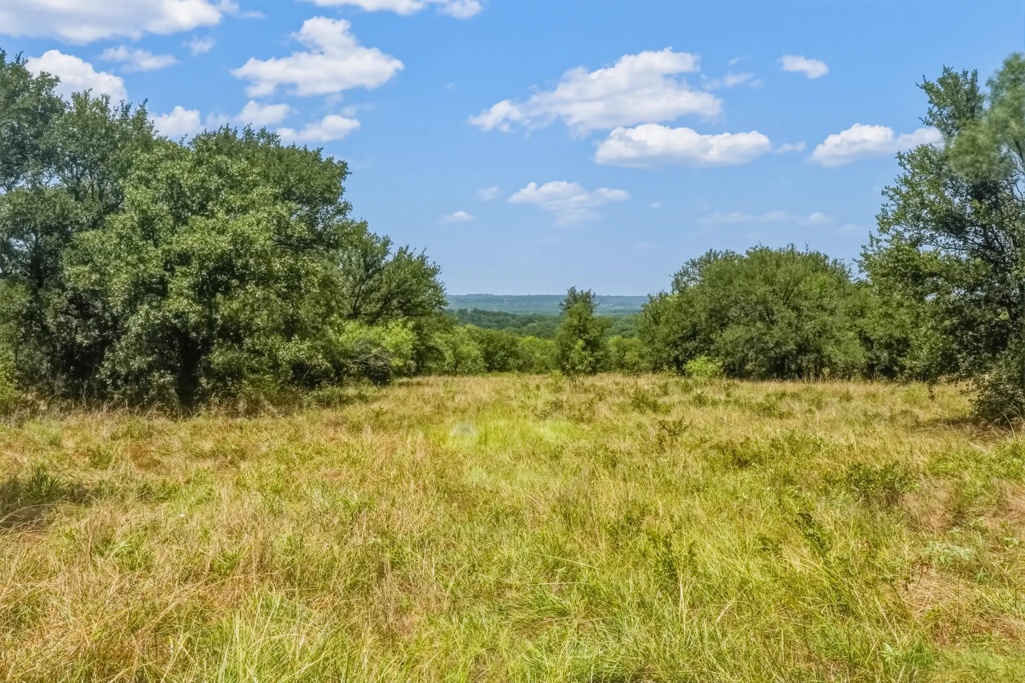 Farm For Sale in Jack County , 9901 FM 1156, Jacksboro, Texas 76458, 4 Bedroom, 1 Bathroom, 2 Garage spaces, 1,960 Sqft, built in 1958, mls#21339471, Real Estate Agent in Jacksboro, Homes For Sale in Jack county, Homes For Sale in Jacksboro, Realtor in Jacksboro Texas, Real Estate Brokerage Independent Realty Texas, Luminita Cordes Realtor