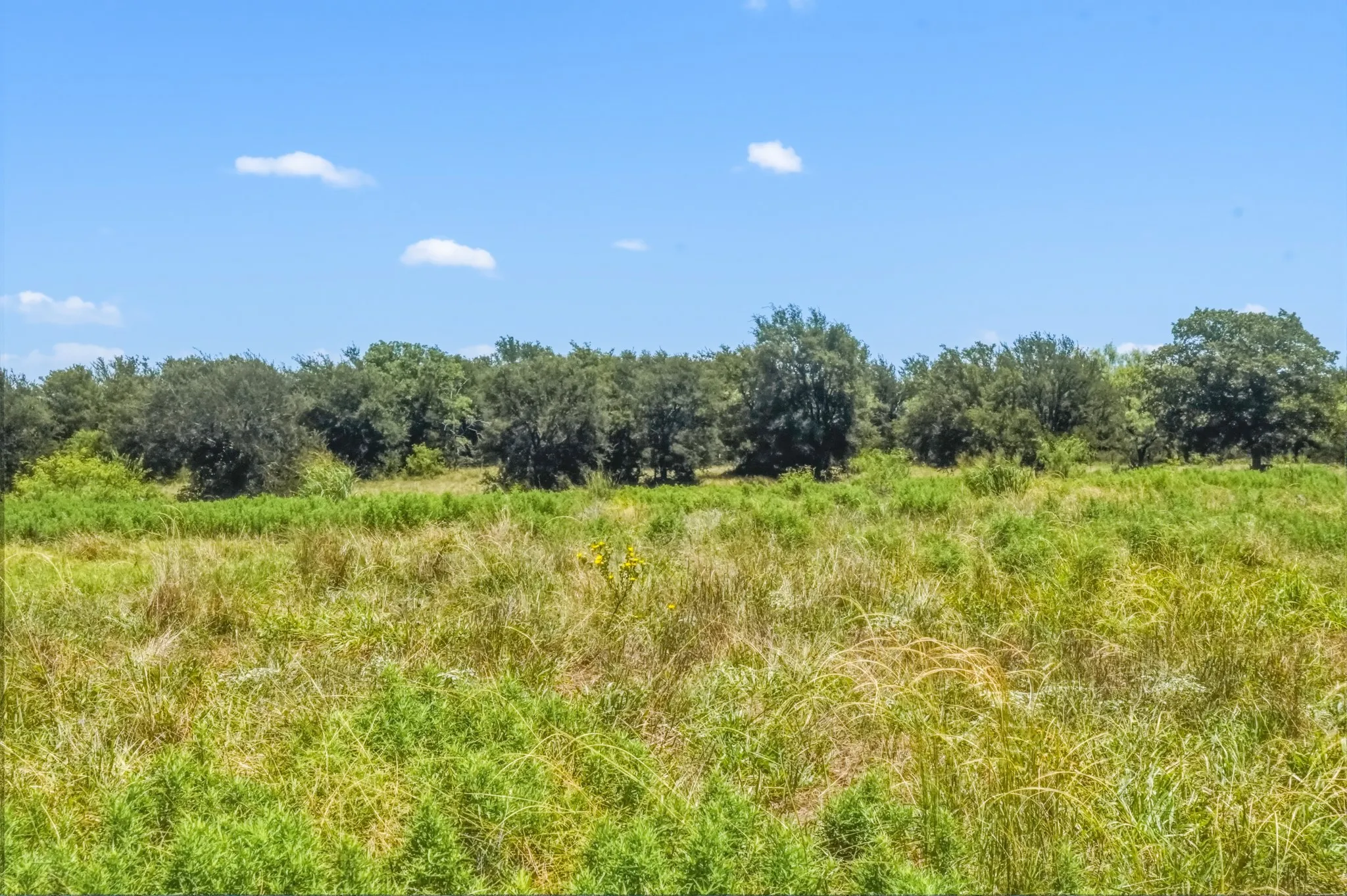 Farm For Sale in Jack County , 9901 FM 1156, Jacksboro, Texas 76458, 4 Bedroom, 1 Bathroom, 2 Garage spaces, 1,960 Sqft, built in 1958, mls#21339471, Real Estate Agent in Jacksboro, Homes For Sale in Jack county, Homes For Sale in Jacksboro, Realtor in Jacksboro Texas, Real Estate Brokerage Independent Realty Texas, Luminita Cordes Realtor