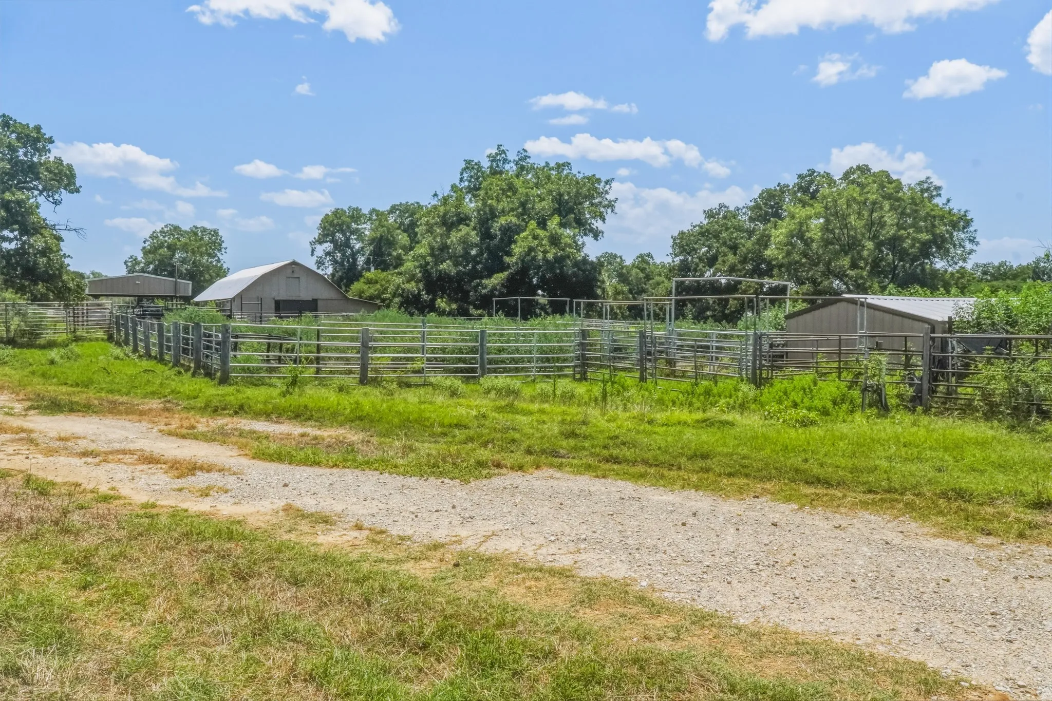 Farm For Sale in Jack County , 9901 FM 1156, Jacksboro, Texas 76458, 4 Bedroom, 1 Bathroom, 2 Garage spaces, 1,960 Sqft, built in 1958, mls#21339471, Real Estate Agent in Jacksboro, Homes For Sale in Jack county, Homes For Sale in Jacksboro, Realtor in Jacksboro Texas, Real Estate Brokerage Independent Realty Texas, Luminita Cordes Realtor