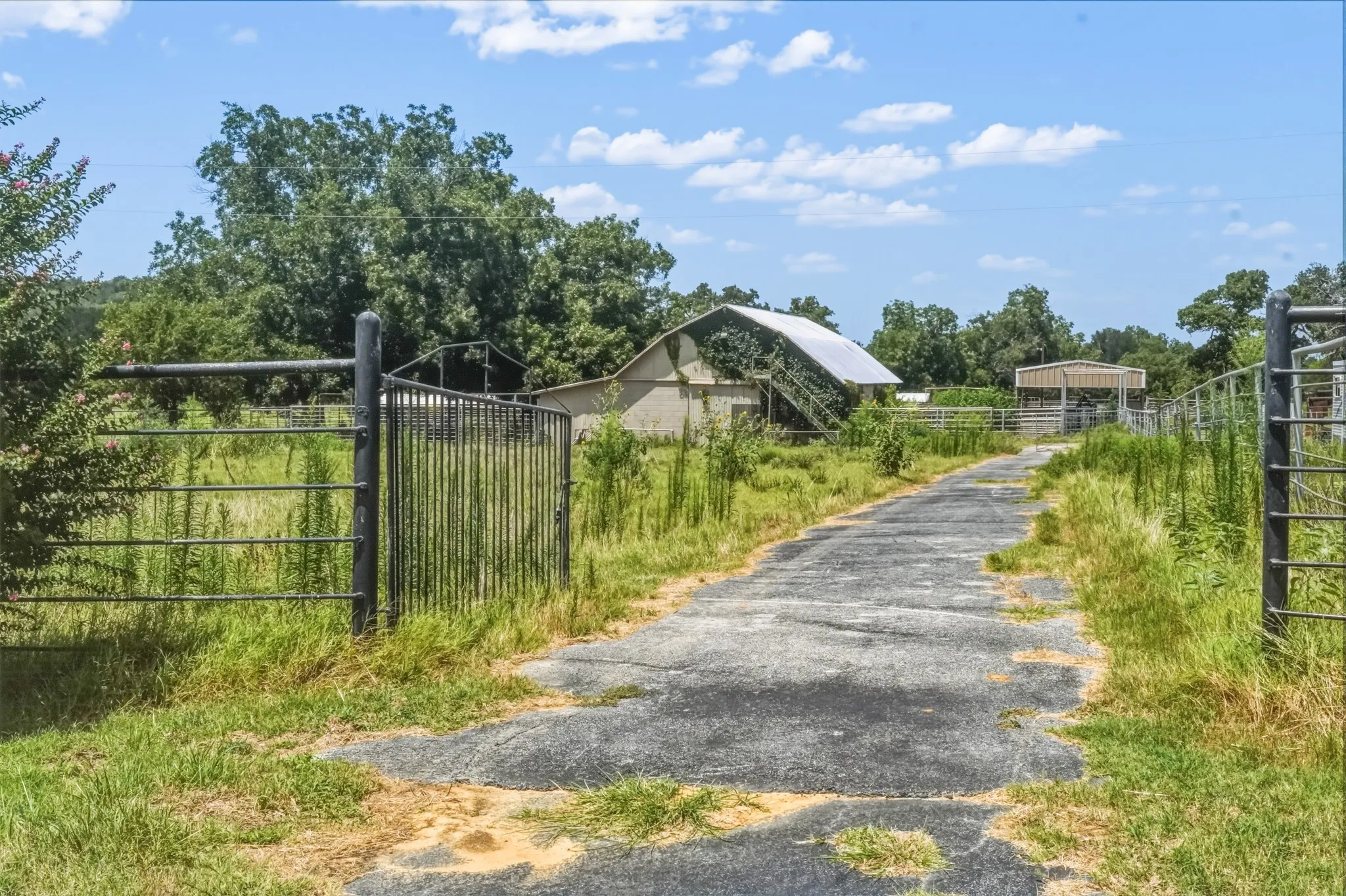 Farm For Sale in Jack County , 9901 FM 1156, Jacksboro, Texas 76458, 4 Bedroom, 1 Bathroom, 2 Garage spaces, 1,960 Sqft, built in 1958, mls#21339471, Real Estate Agent in Jacksboro, Homes For Sale in Jack county, Homes For Sale in Jacksboro, Realtor in Jacksboro Texas, Real Estate Brokerage Independent Realty Texas, Luminita Cordes Realtor