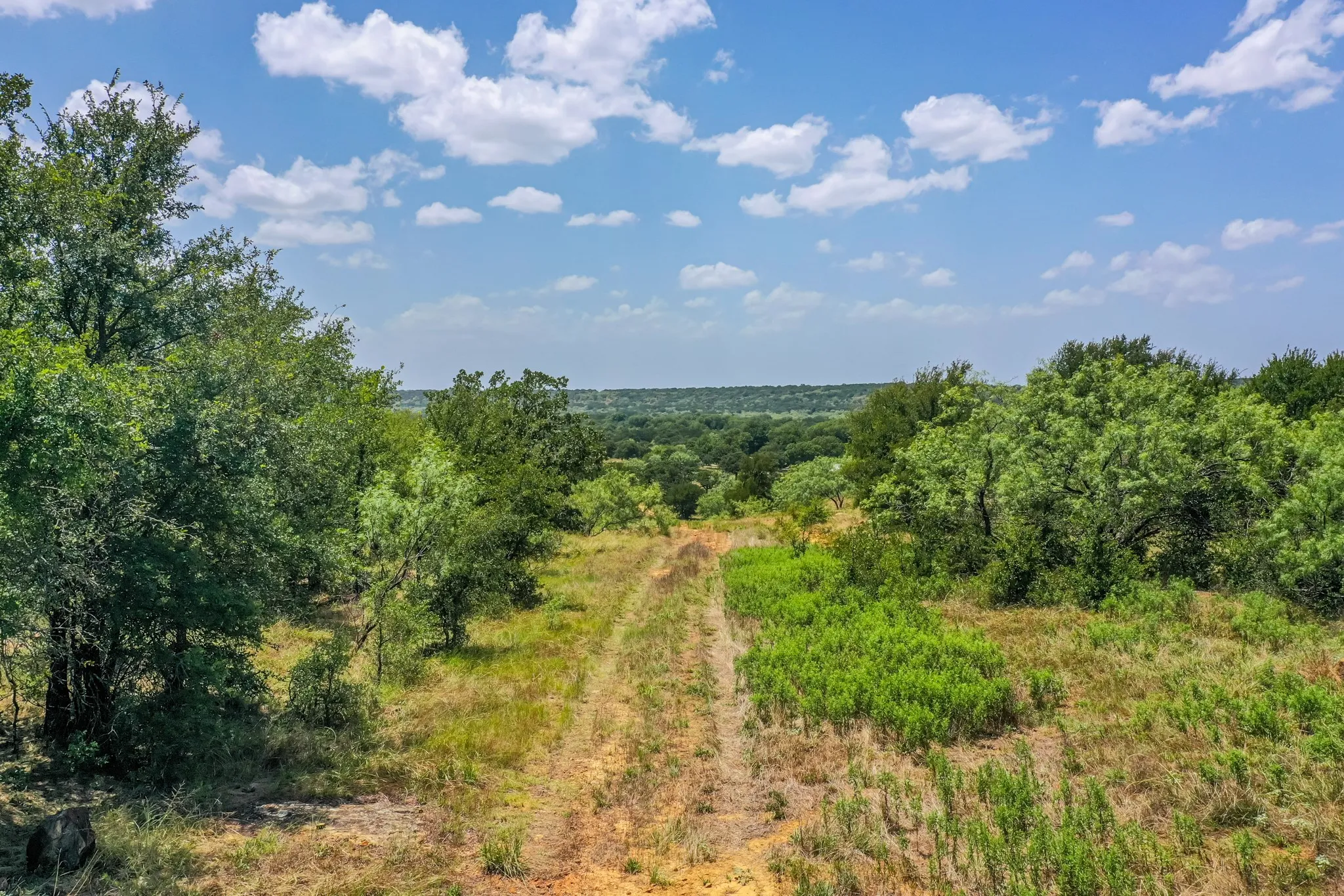 Farm For Sale in Jack County , 9901 FM 1156, Jacksboro, Texas 76458, 4 Bedroom, 1 Bathroom, 2 Garage spaces, 1,960 Sqft, built in 1958, mls#21339471, Real Estate Agent in Jacksboro, Homes For Sale in Jack county, Homes For Sale in Jacksboro, Realtor in Jacksboro Texas, Real Estate Brokerage Independent Realty Texas, Luminita Cordes Realtor