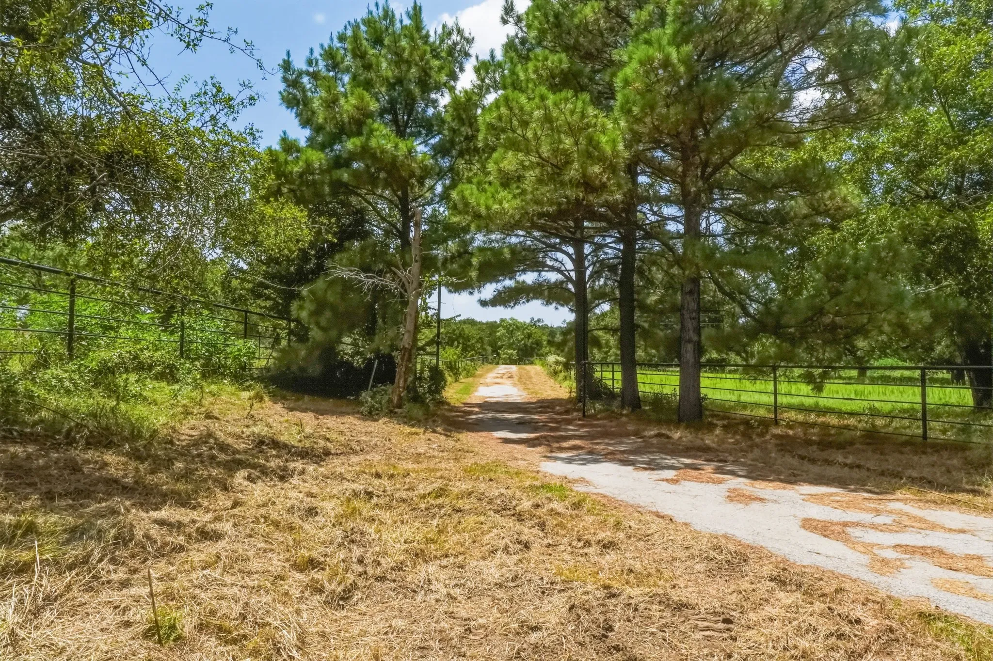 Farm For Sale in Jack County , 9901 FM 1156, Jacksboro, Texas 76458, 4 Bedroom, 1 Bathroom, 2 Garage spaces, 1,960 Sqft, built in 1958, mls#21339471, Real Estate Agent in Jacksboro, Homes For Sale in Jack county, Homes For Sale in Jacksboro, Realtor in Jacksboro Texas, Real Estate Brokerage Independent Realty Texas, Luminita Cordes Realtor