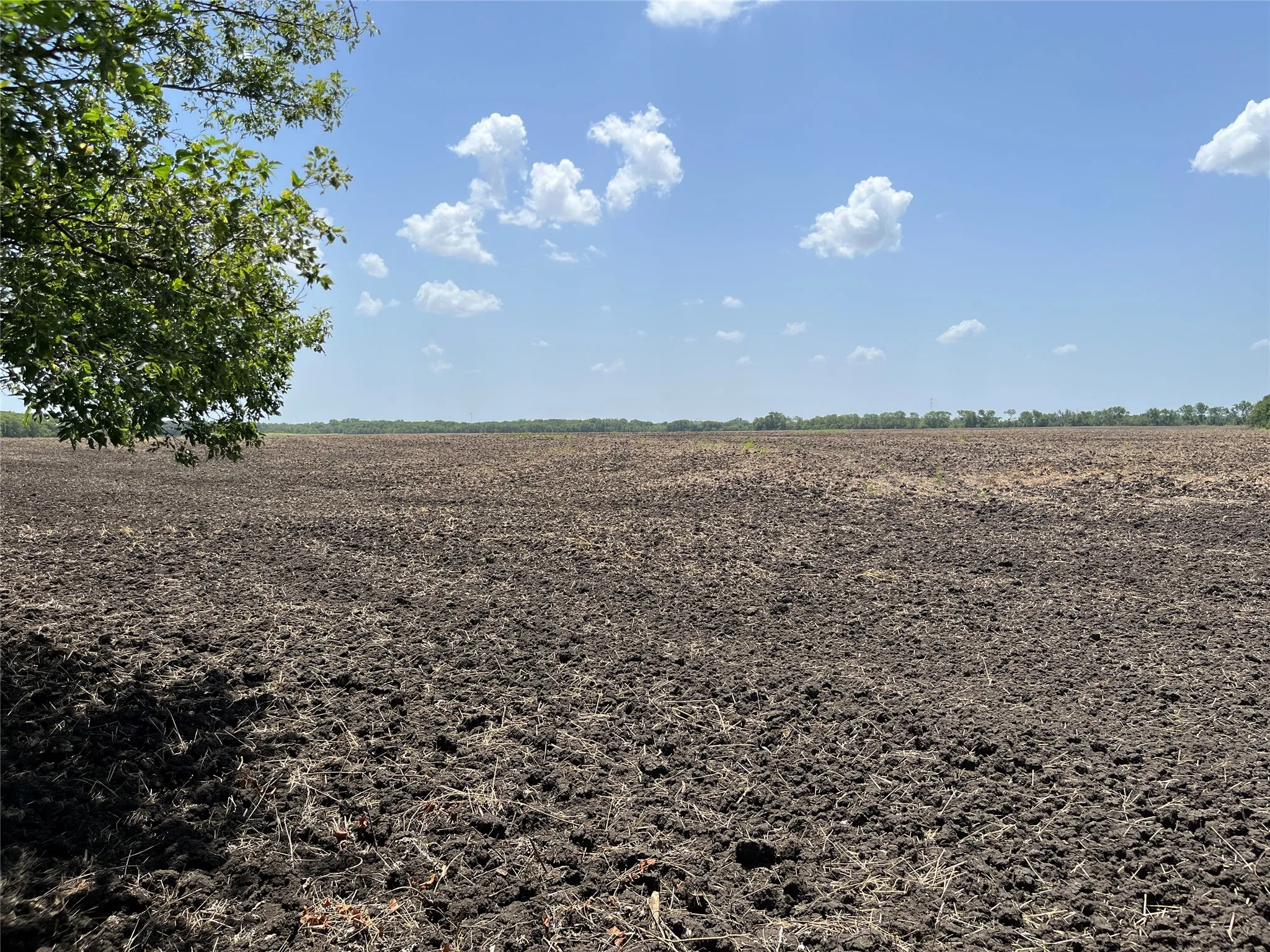 Unimproved Land For Sale in Grayson County , 910 Kentucky Town Road, Whitewright, Texas 75491, 0, 0, Garage spaces, 0 Sqft, built in 0, mls#21336486, Real Estate Agent in Whitewright, Homes For Sale in Grayson county, Homes For Sale in Whitewright, Realtor in Whitewright Texas, Real Estate Brokerage Independent Realty Texas, Luminita Cordes Realtor