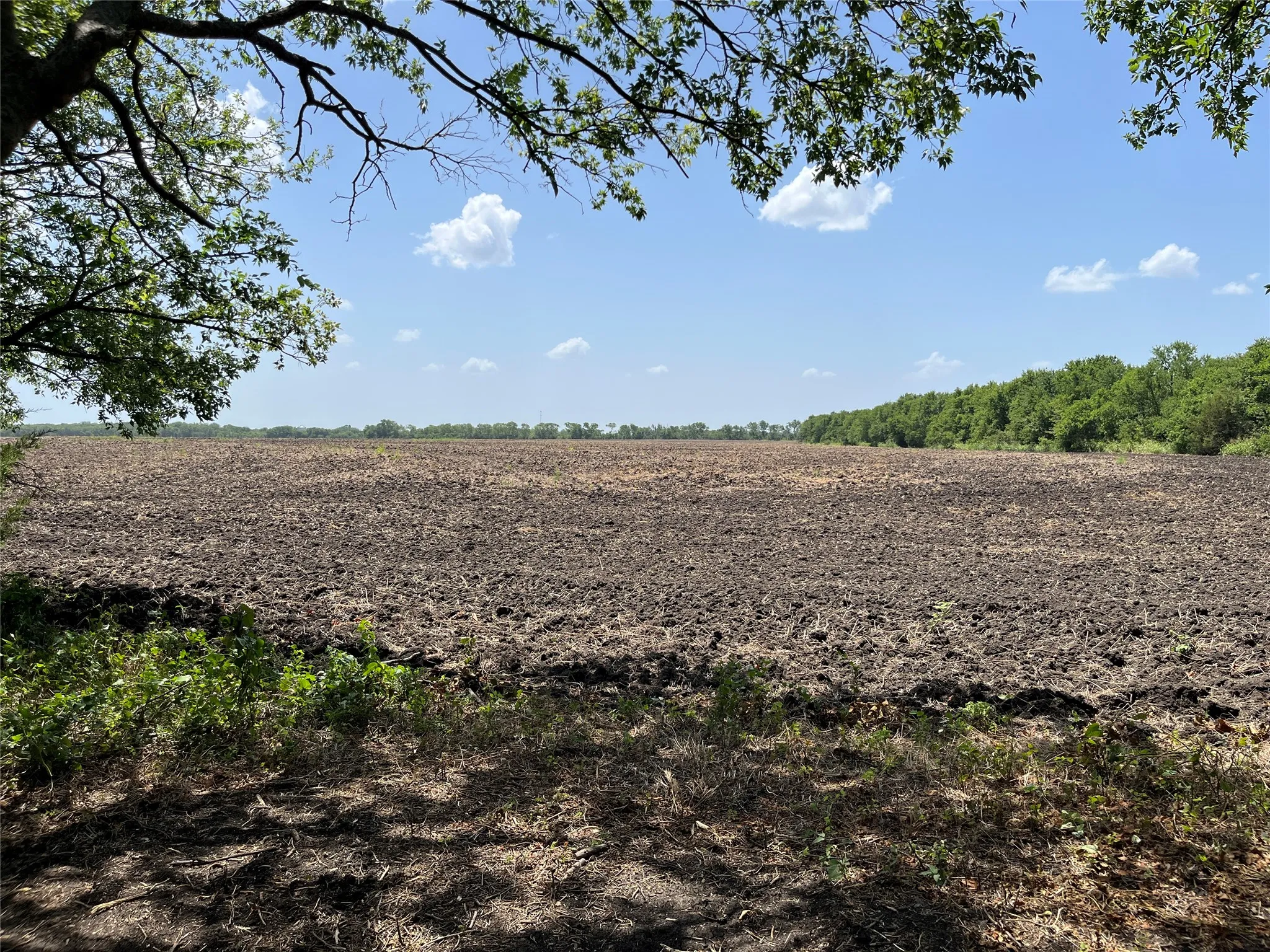 Unimproved Land For Sale in Grayson County , 910 Kentucky Town Road, Whitewright, Texas 75491, 0, 0, Garage spaces, 0 Sqft, built in 0, mls#21336486, Real Estate Agent in Whitewright, Homes For Sale in Grayson county, Homes For Sale in Whitewright, Realtor in Whitewright Texas, Real Estate Brokerage Independent Realty Texas, Luminita Cordes Realtor