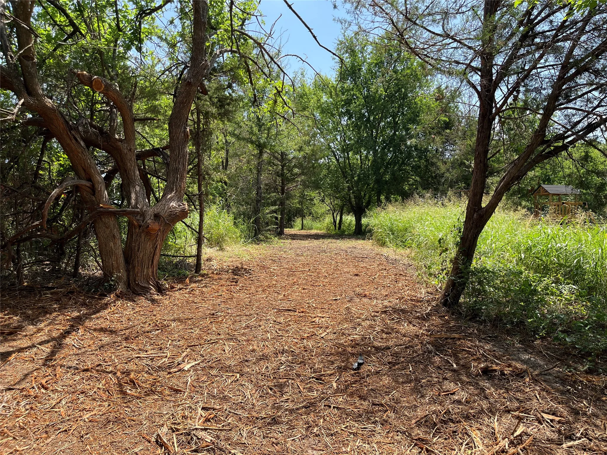 Unimproved Land For Sale in Grayson County , 910 Kentucky Town Road, Whitewright, Texas 75491, 0, 0, Garage spaces, 0 Sqft, built in 0, mls#21336486, Real Estate Agent in Whitewright, Homes For Sale in Grayson county, Homes For Sale in Whitewright, Realtor in Whitewright Texas, Real Estate Brokerage Independent Realty Texas, Luminita Cordes Realtor