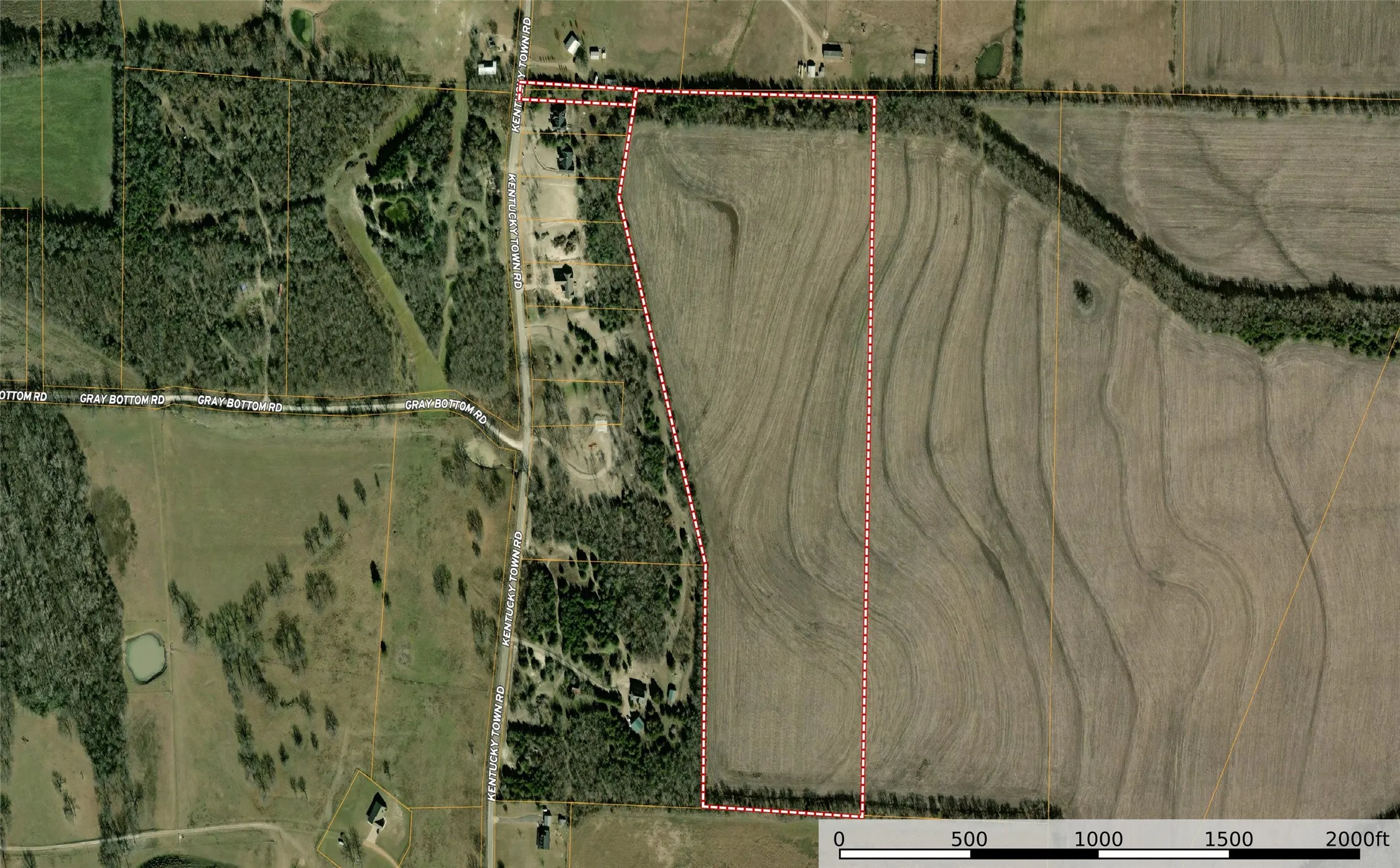 Unimproved Land For Sale in Grayson County , 910 Kentucky Town Road, Whitewright, Texas 75491, 0, 0, Garage spaces, 0 Sqft, built in 0, mls#21336486, Real Estate Agent in Whitewright, Homes For Sale in Grayson county, Homes For Sale in Whitewright, Realtor in Whitewright Texas, Real Estate Brokerage Independent Realty Texas, Luminita Cordes Realtor